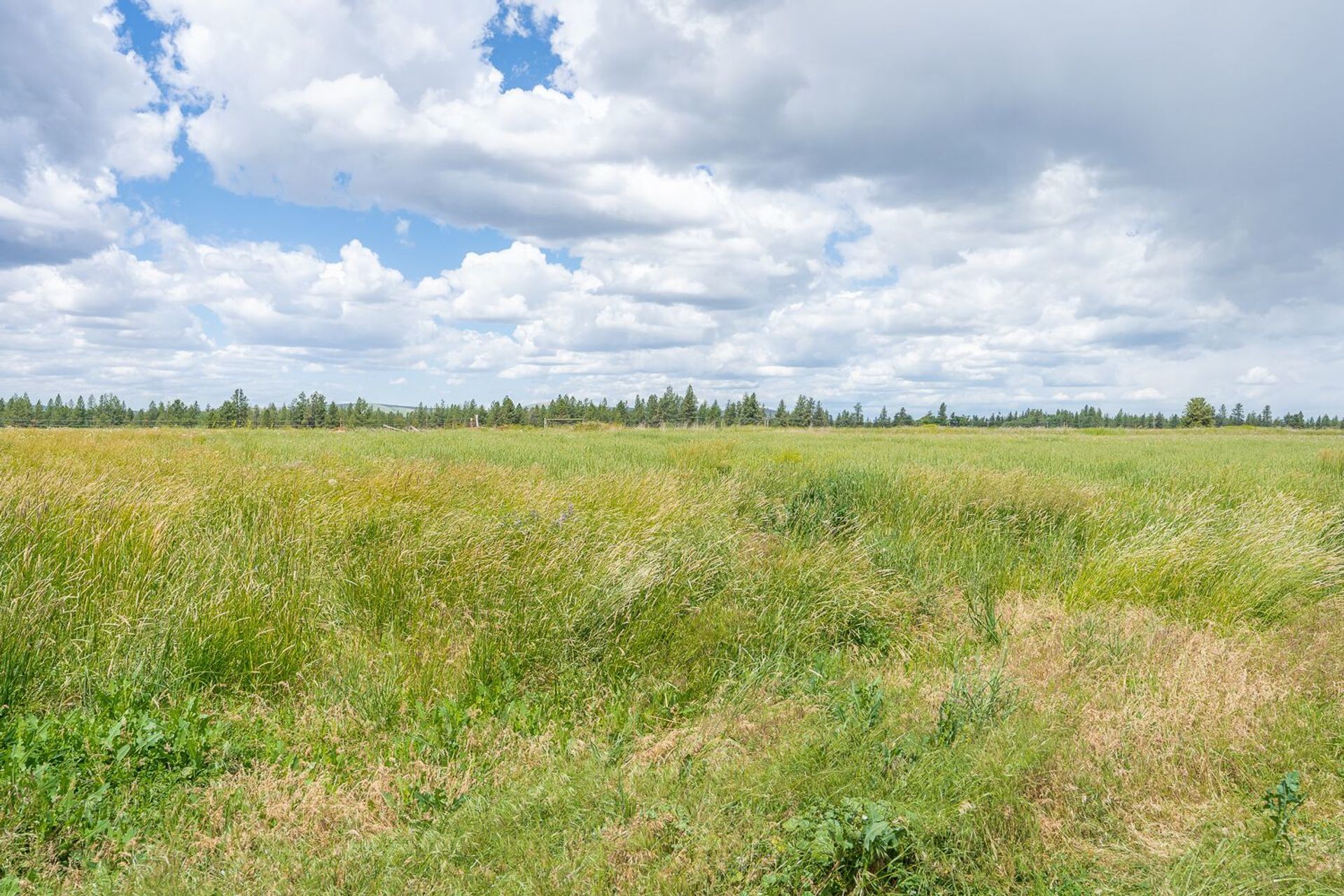 Talo sisään Waukon, Washington 10082028