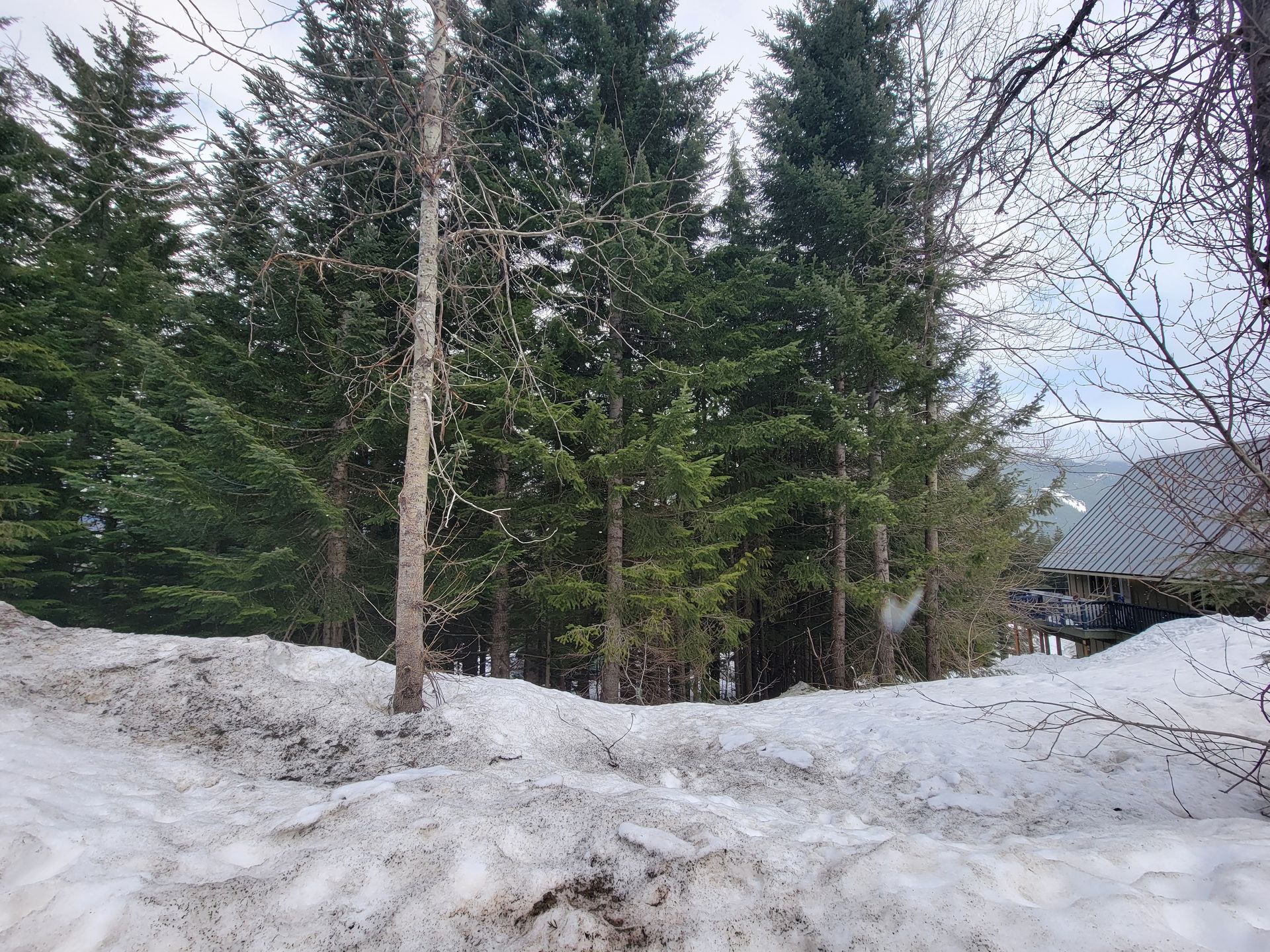 casa en Snoqualmie Pass, Washington 10082063