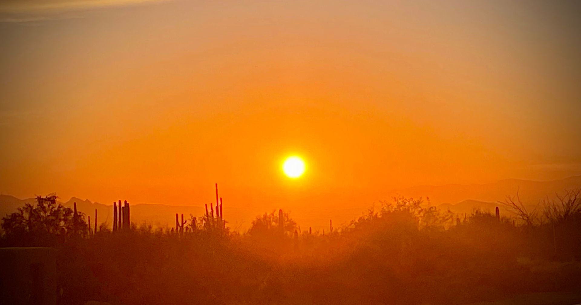 Huis in Rio Verde, Arizona 10082085