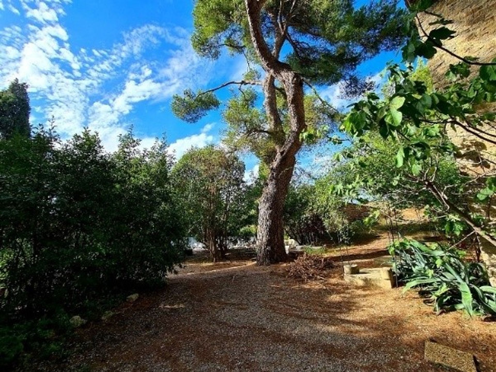 Land in Béziers, Occitanië 10082201