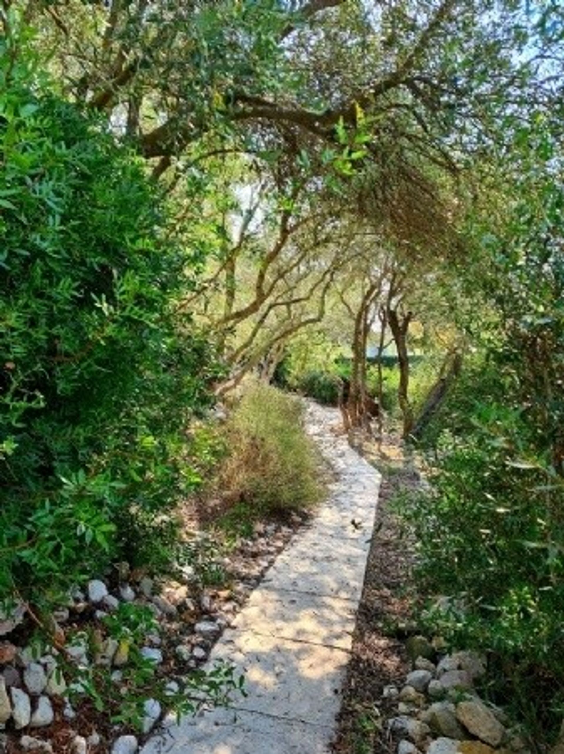 Casa nel Beziers, Languedoc-Roussillon 10082205