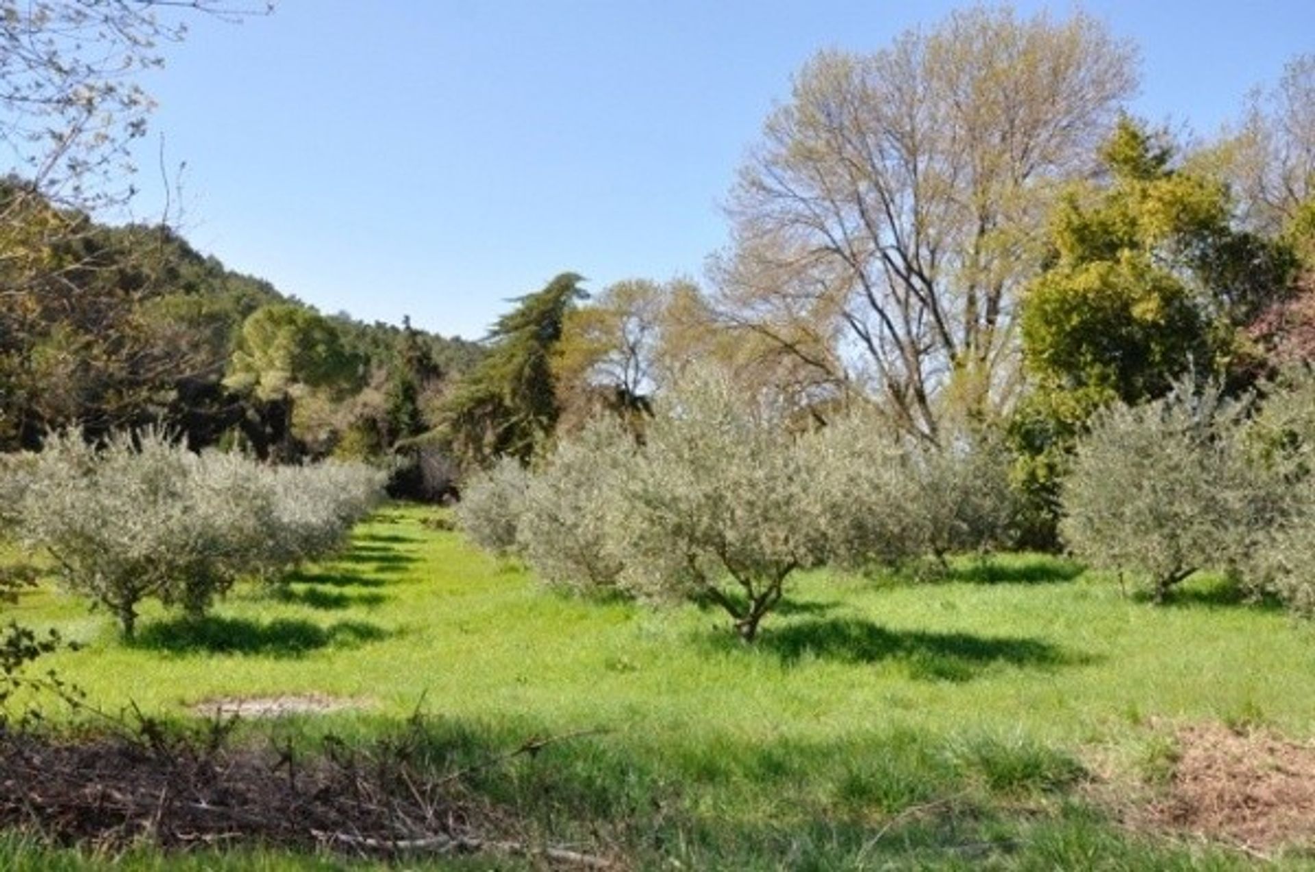 Annen i Beziers, Occitanie 10082207