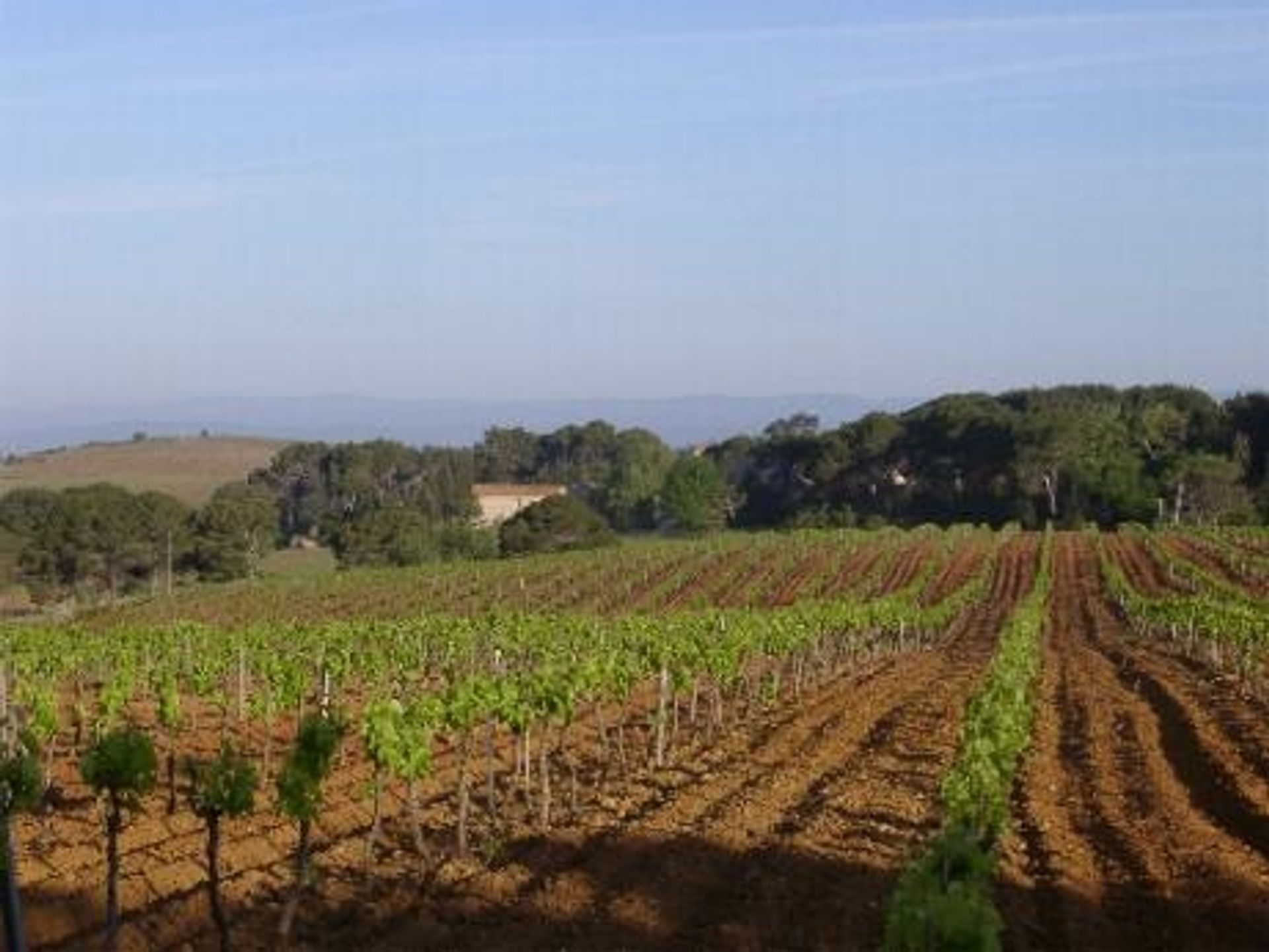 Lain di Beziers, Languedoc-Roussillon 10082214