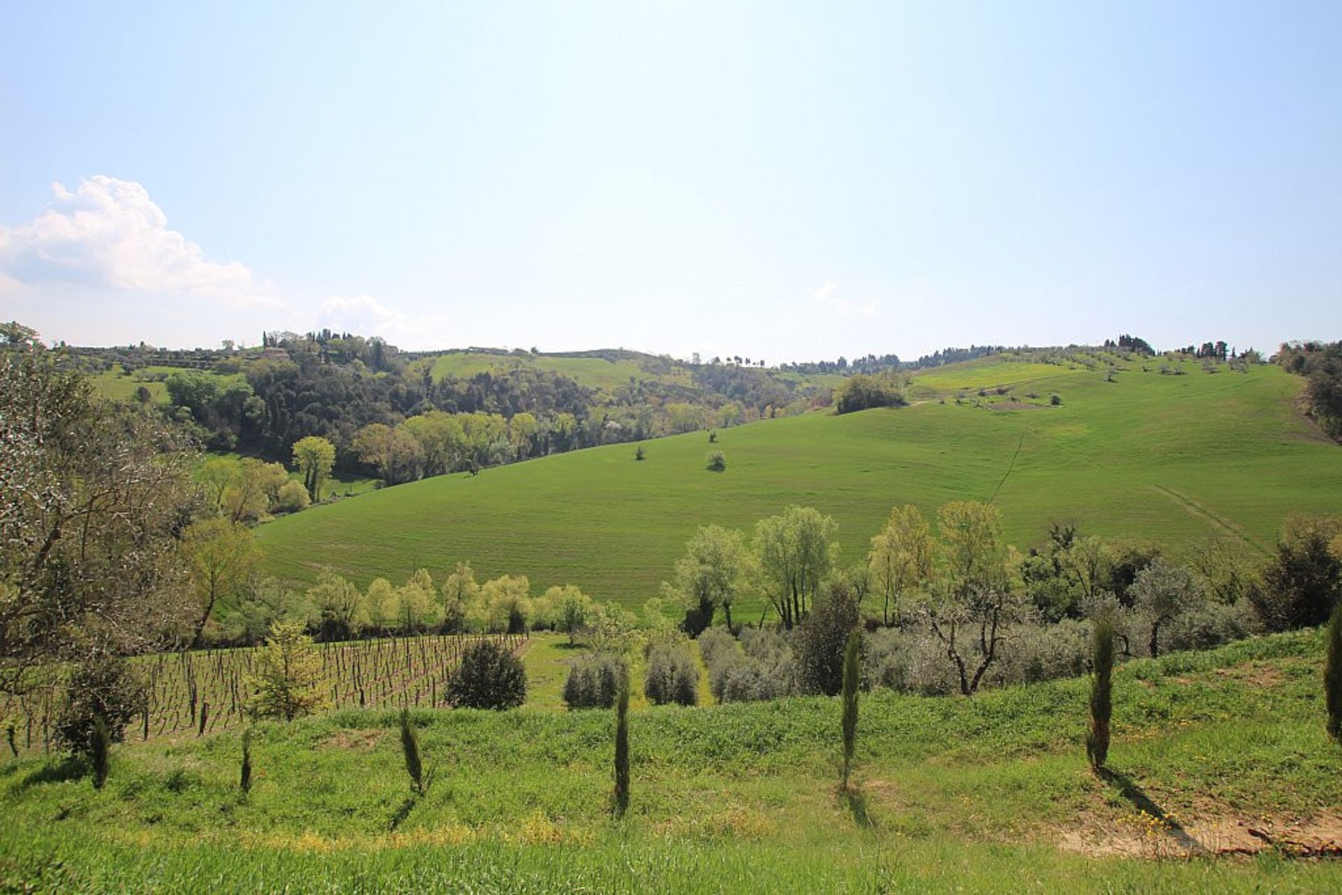 Rumah di Pisa, Tuscany 10082220