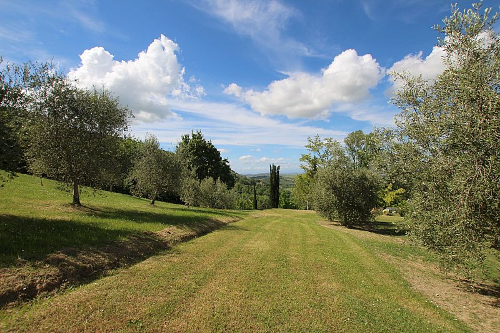 Casa nel Pisa, Tuscany 10082228