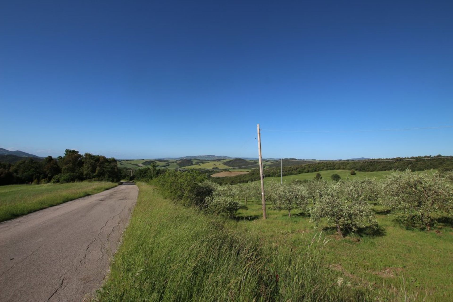 Land in Pisa, Tuscany 10082235