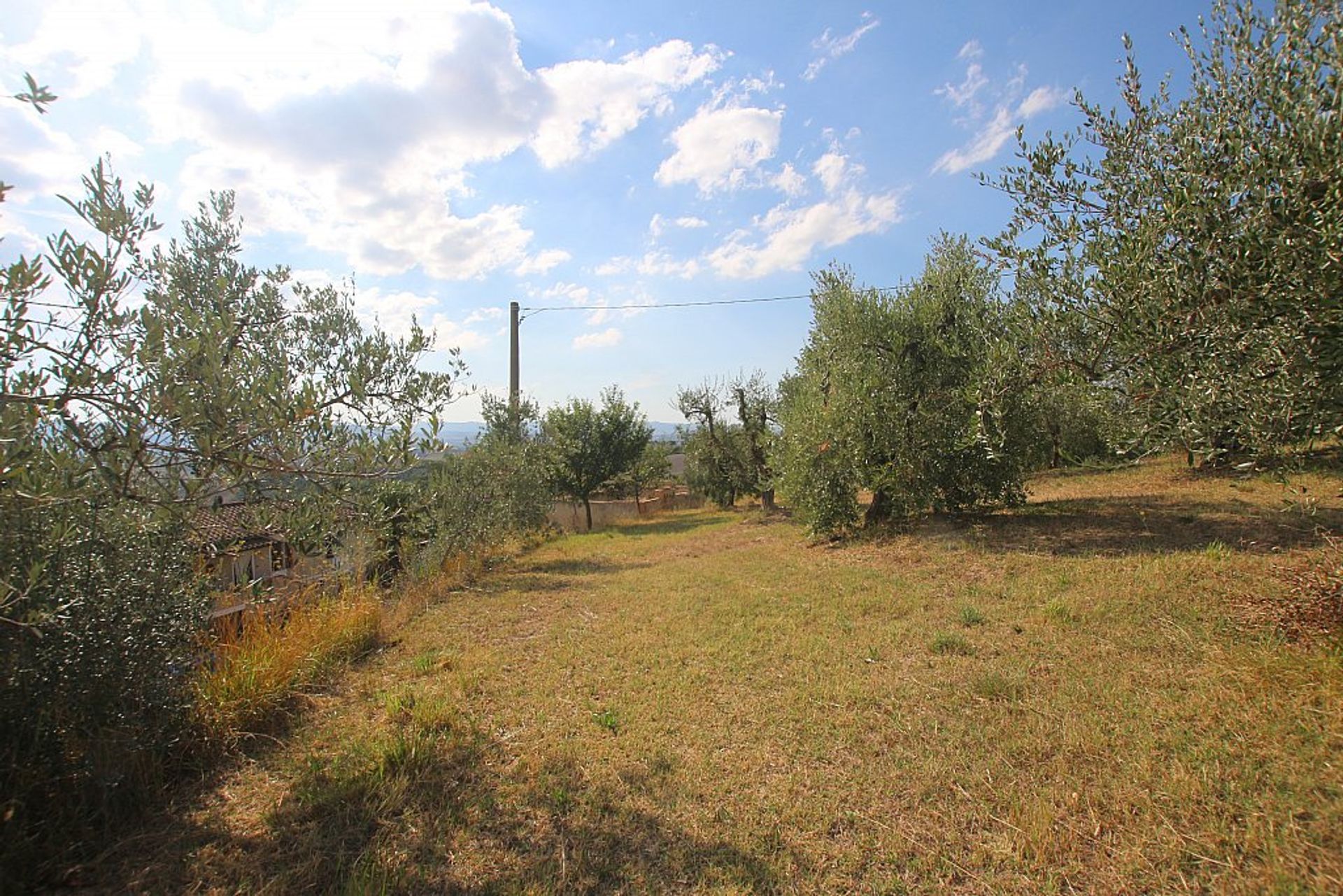 土地 在 Volterra, Tuscany 10082251