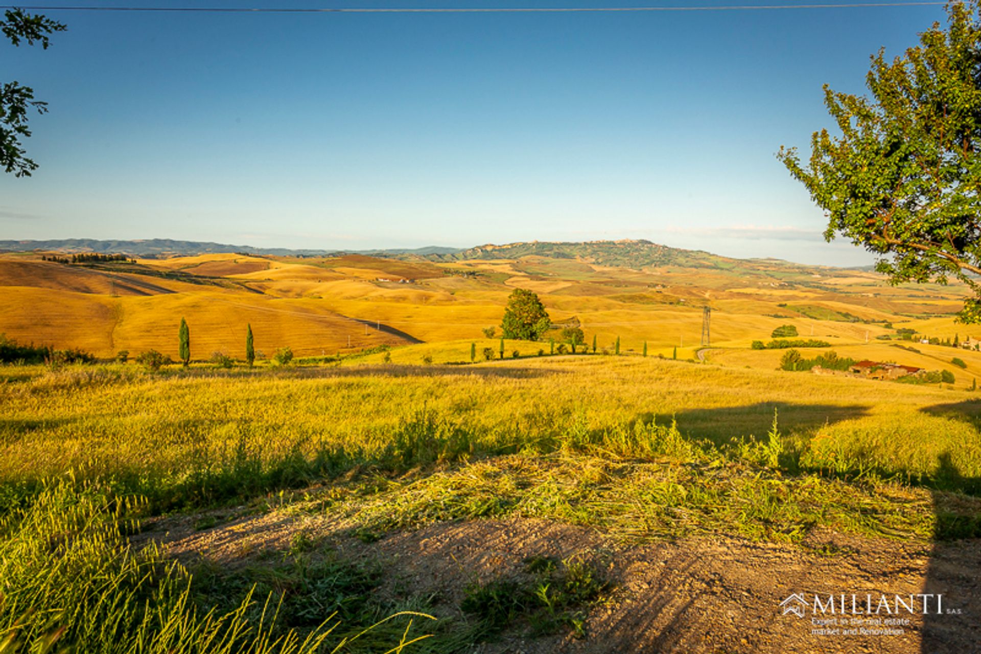 House in Pisa, Tuscany 10082254