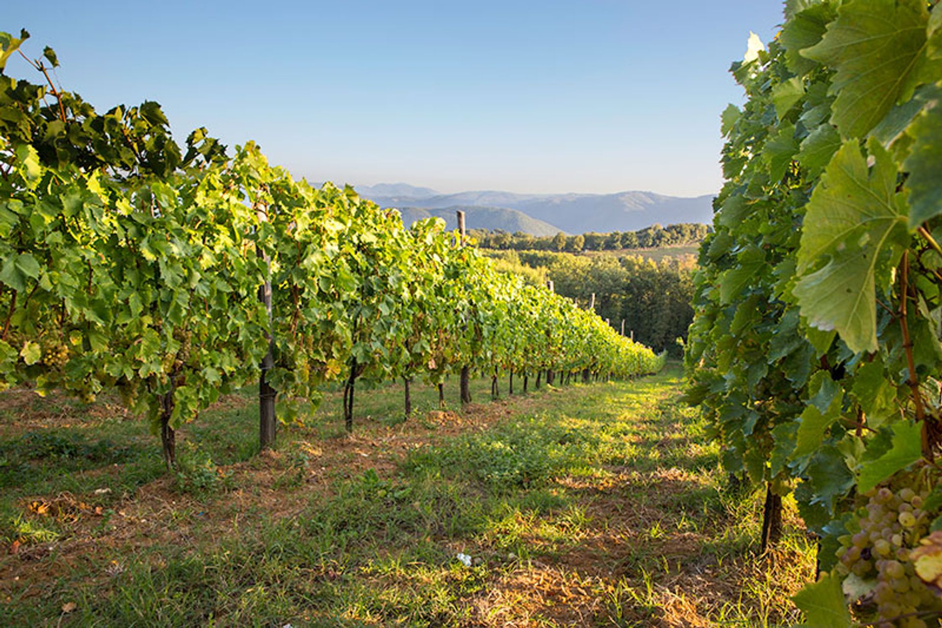 Huis in Montecatini, Tuscany 10082260