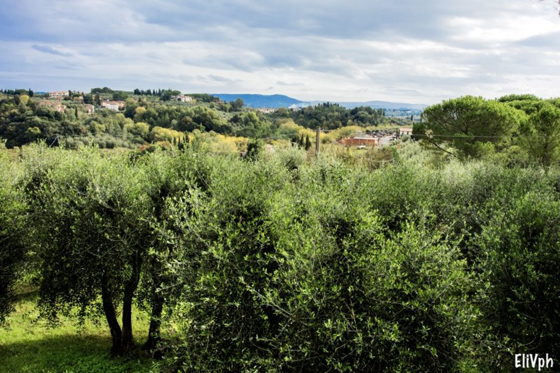 σπίτι σε Pisa, Tuscany 10082291