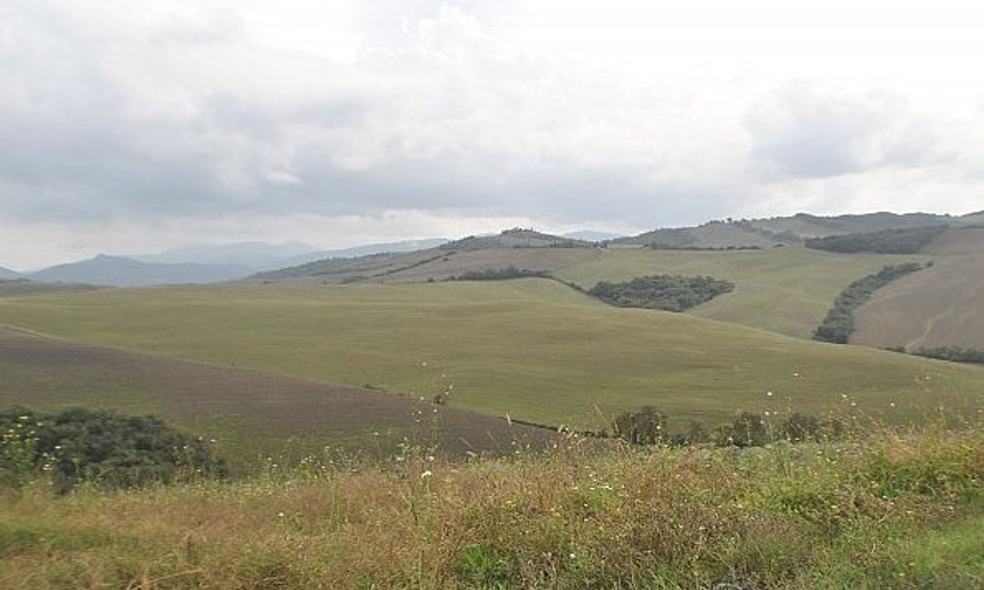 Земля в Вольтерра, Тоскана 10082312