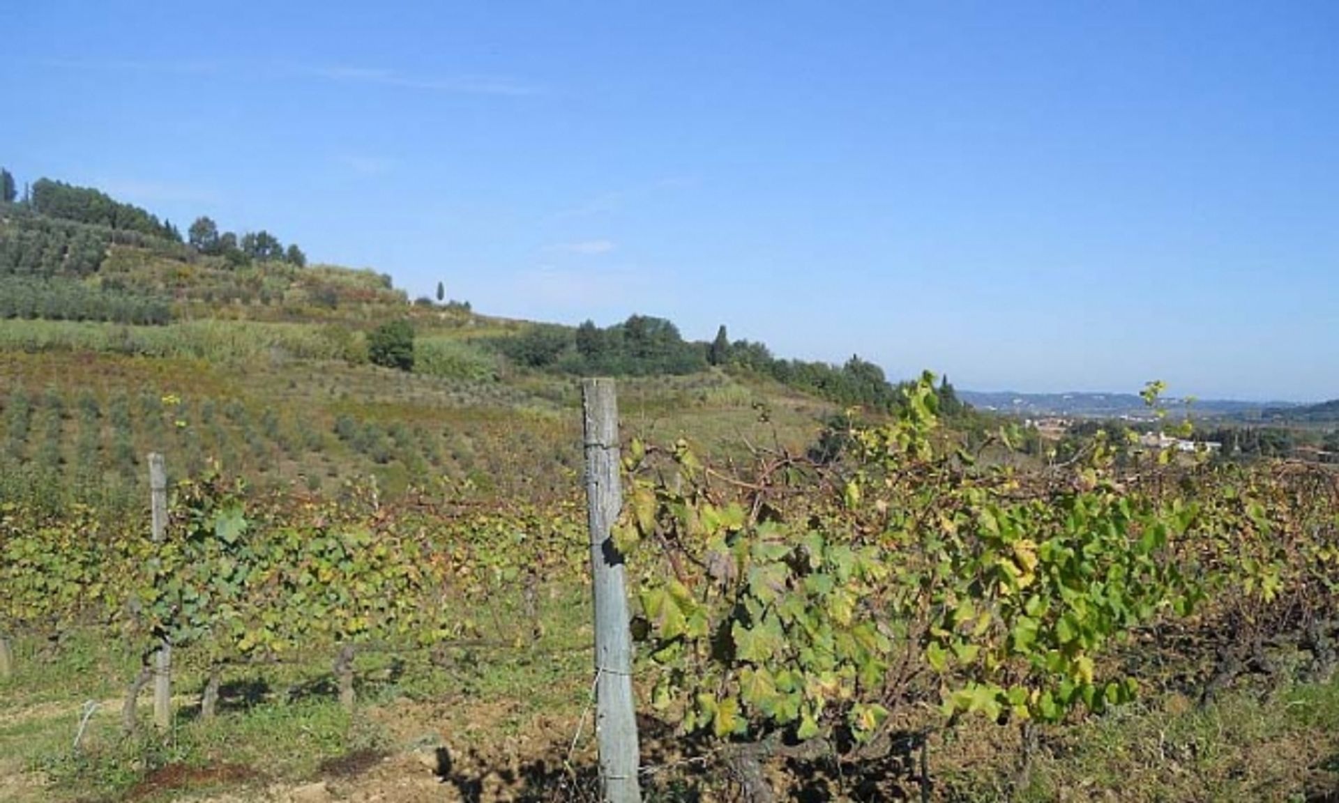 Hus i Terricciola, Toscana 10082375