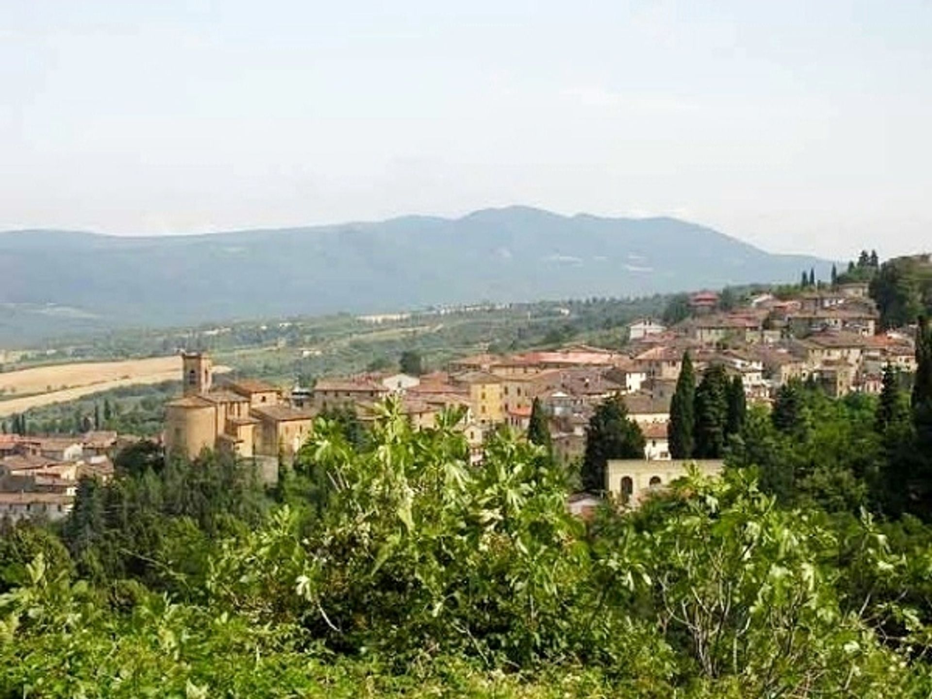 Borettslag i Pisa, Toscana 10082461