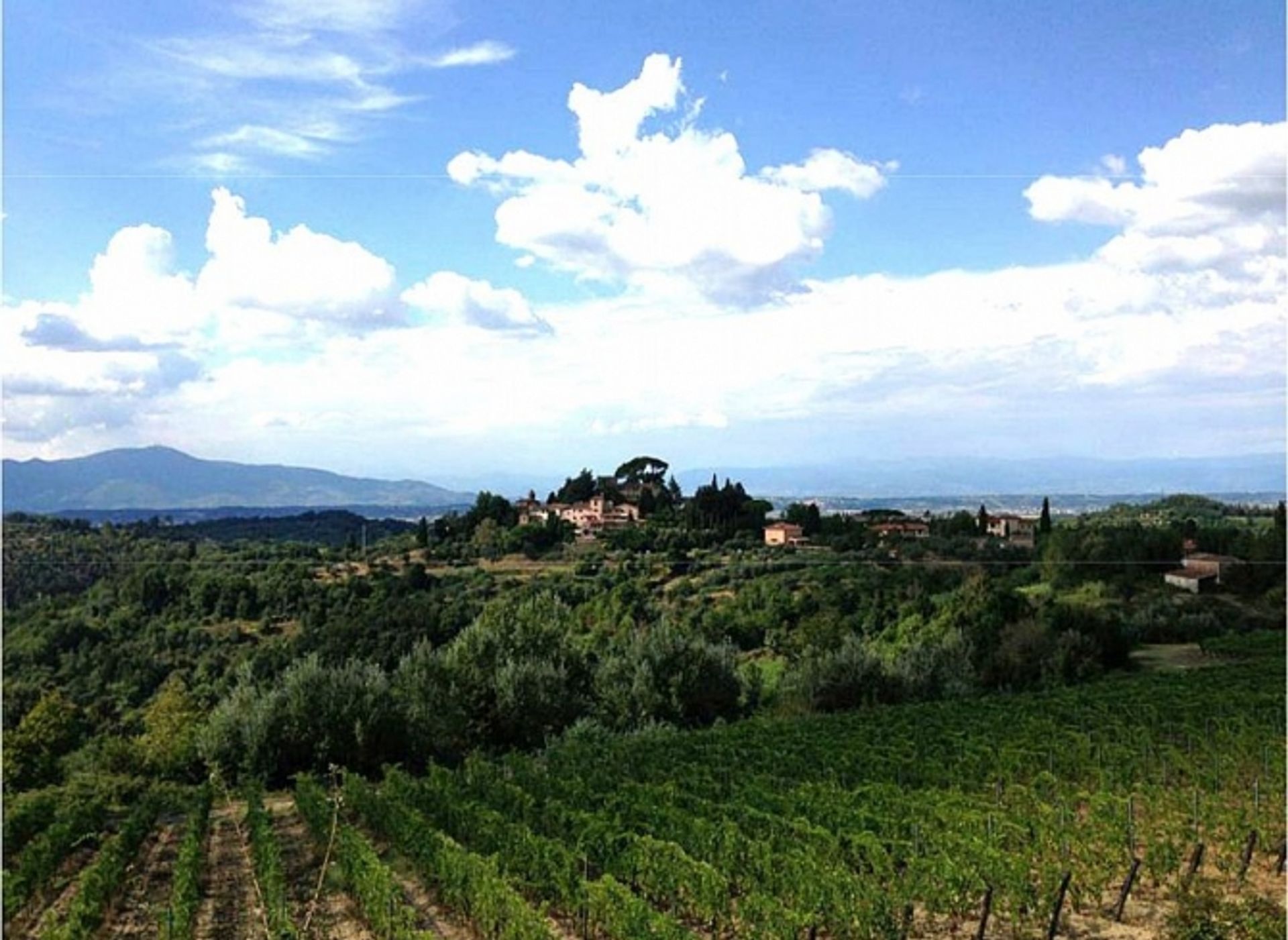 Tierra en Pisa, Tuscany 10082500