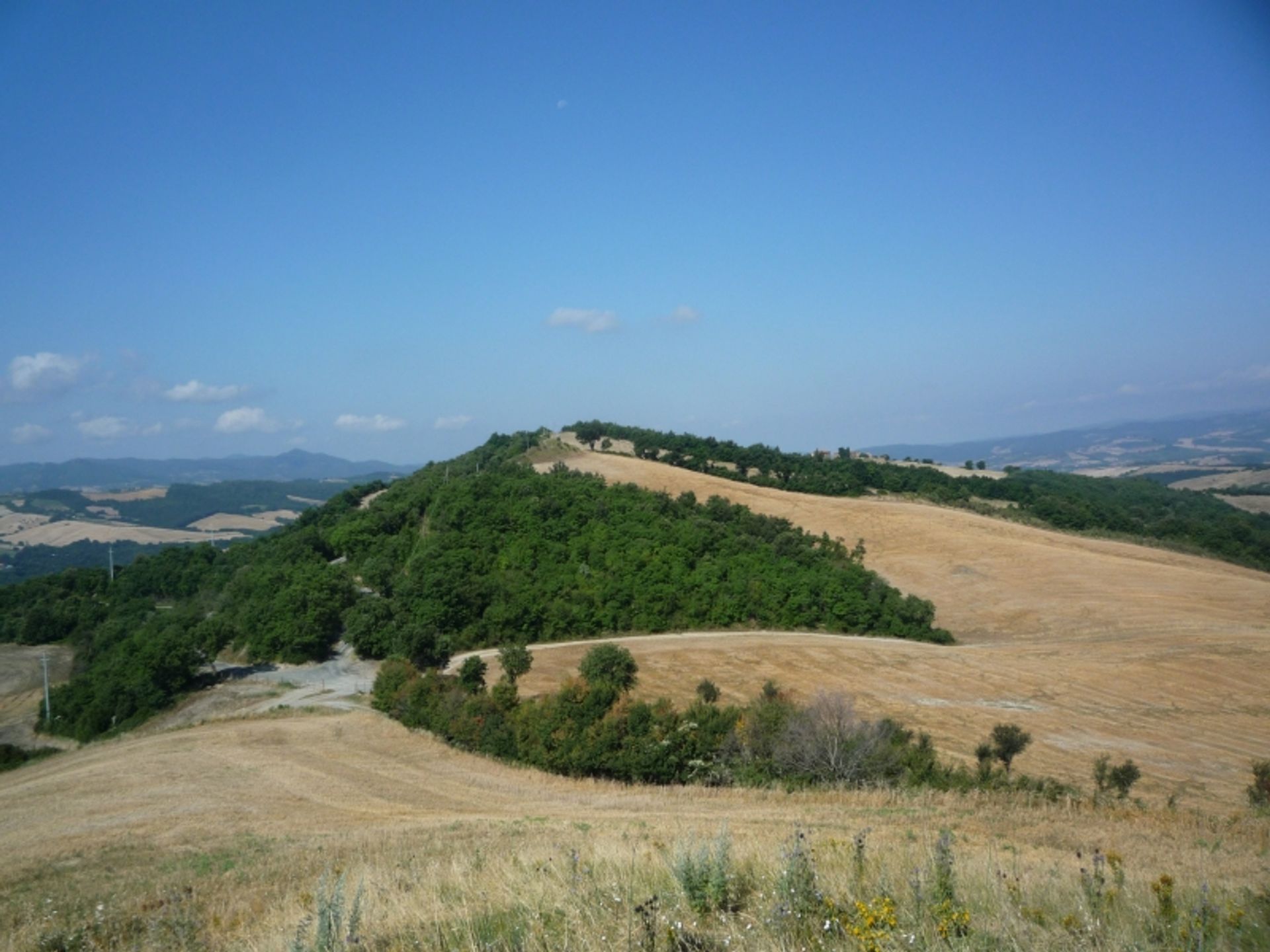 Industri di Pisa, Tuscany 10082563