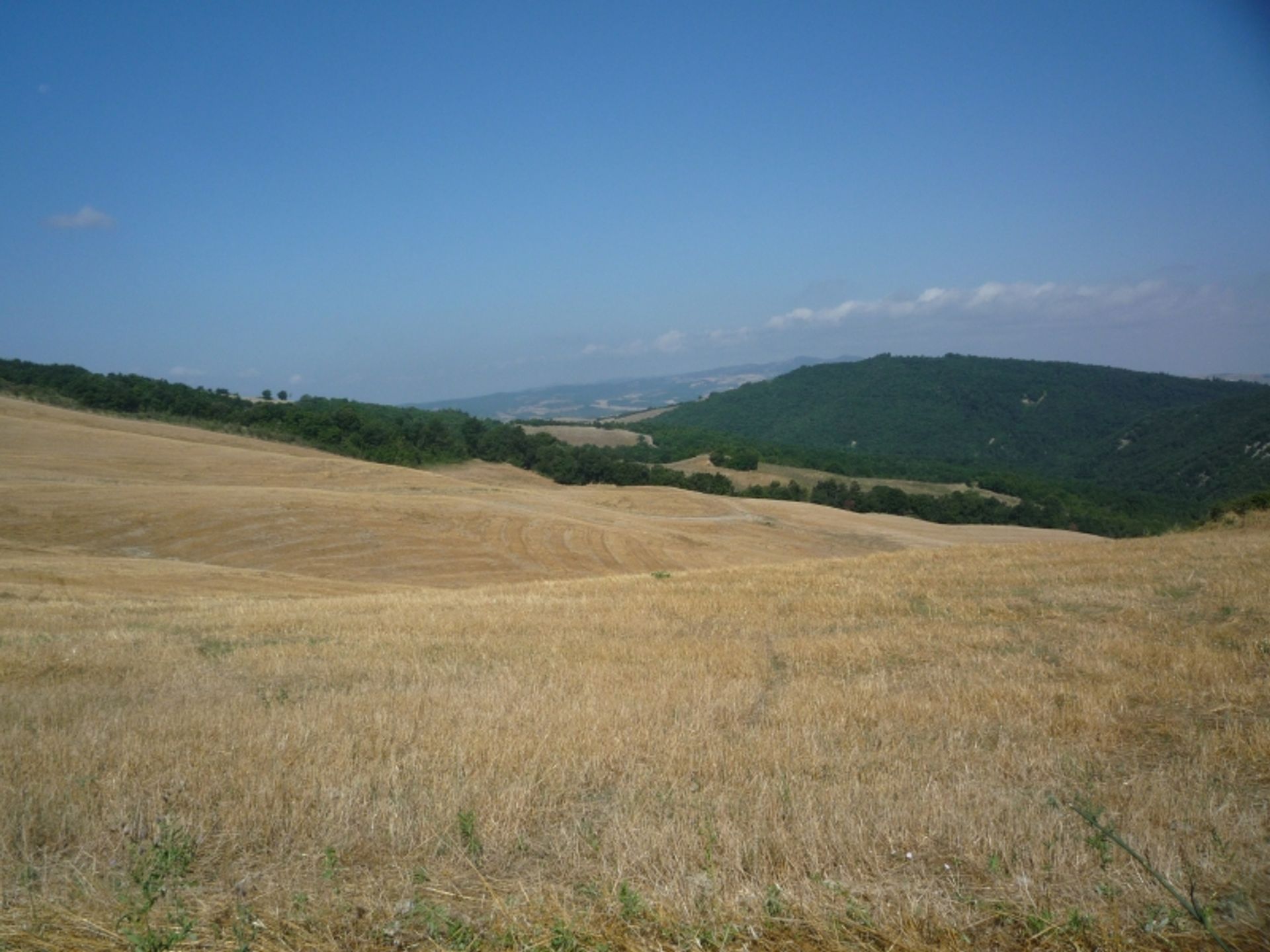 Промислові в Pisa, Tuscany 10082563