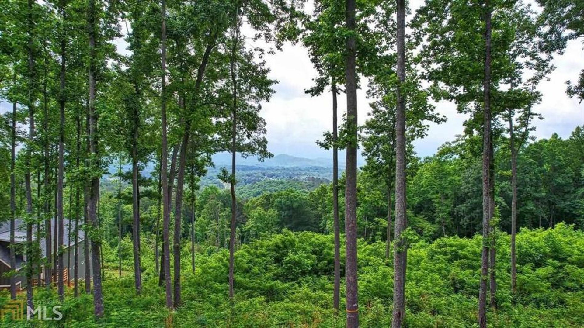 Tierra en lago canal, Georgia 10083067