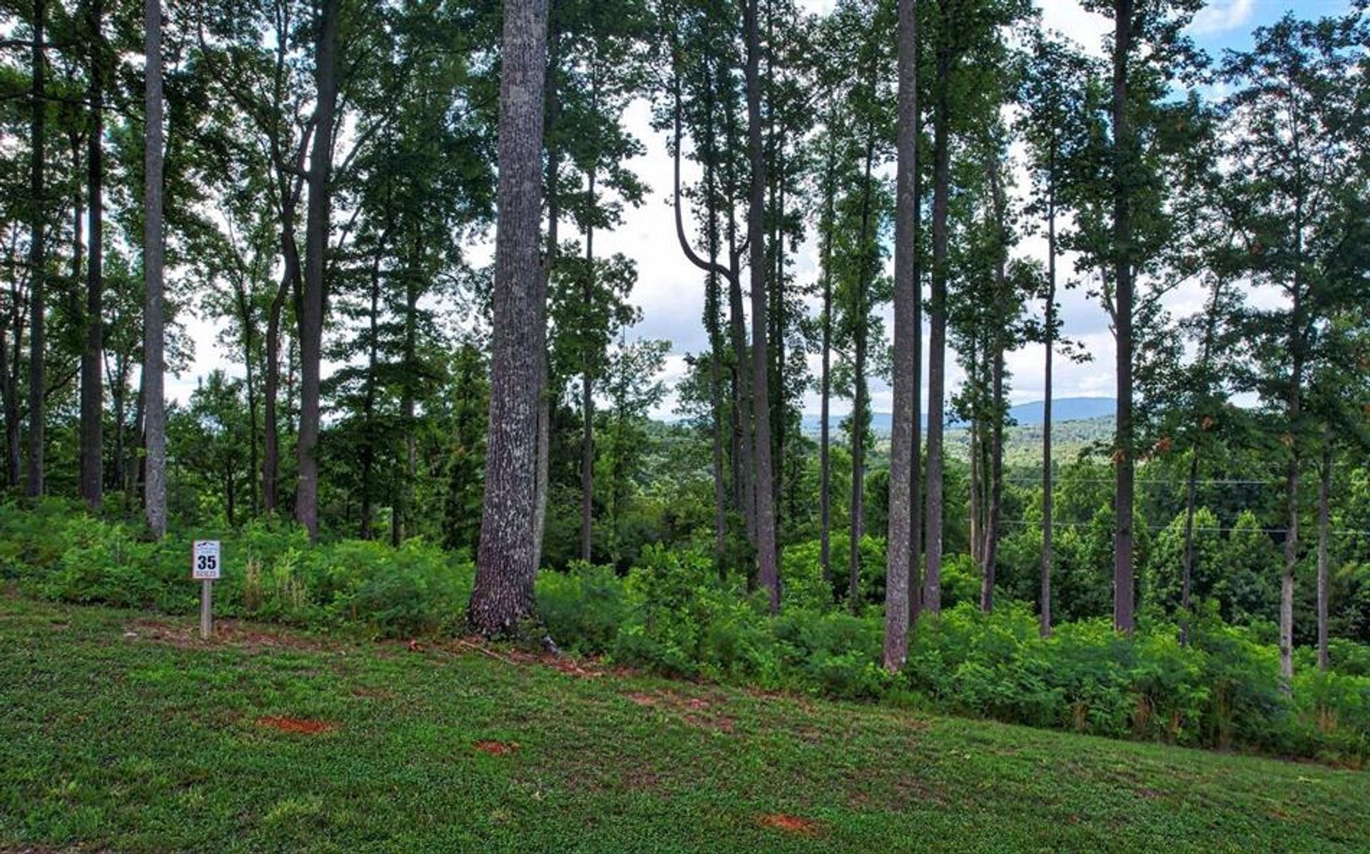 Land in Blairsville, Georgia 10083072