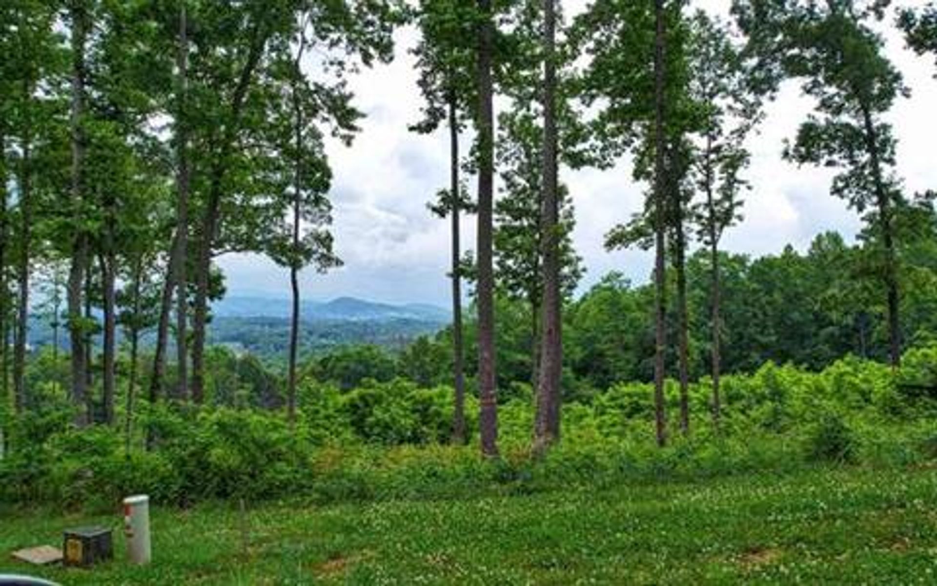 Tierra en Blairsville, Georgia 10083074