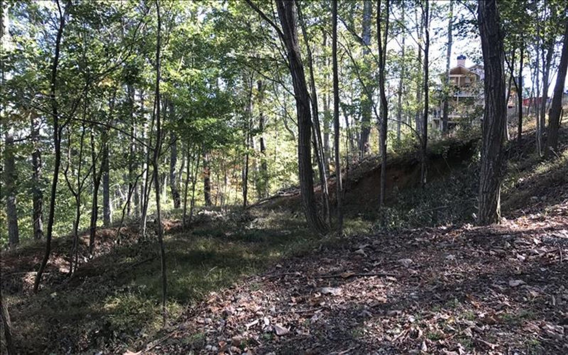 Land in Blairsville, Georgia 10083099