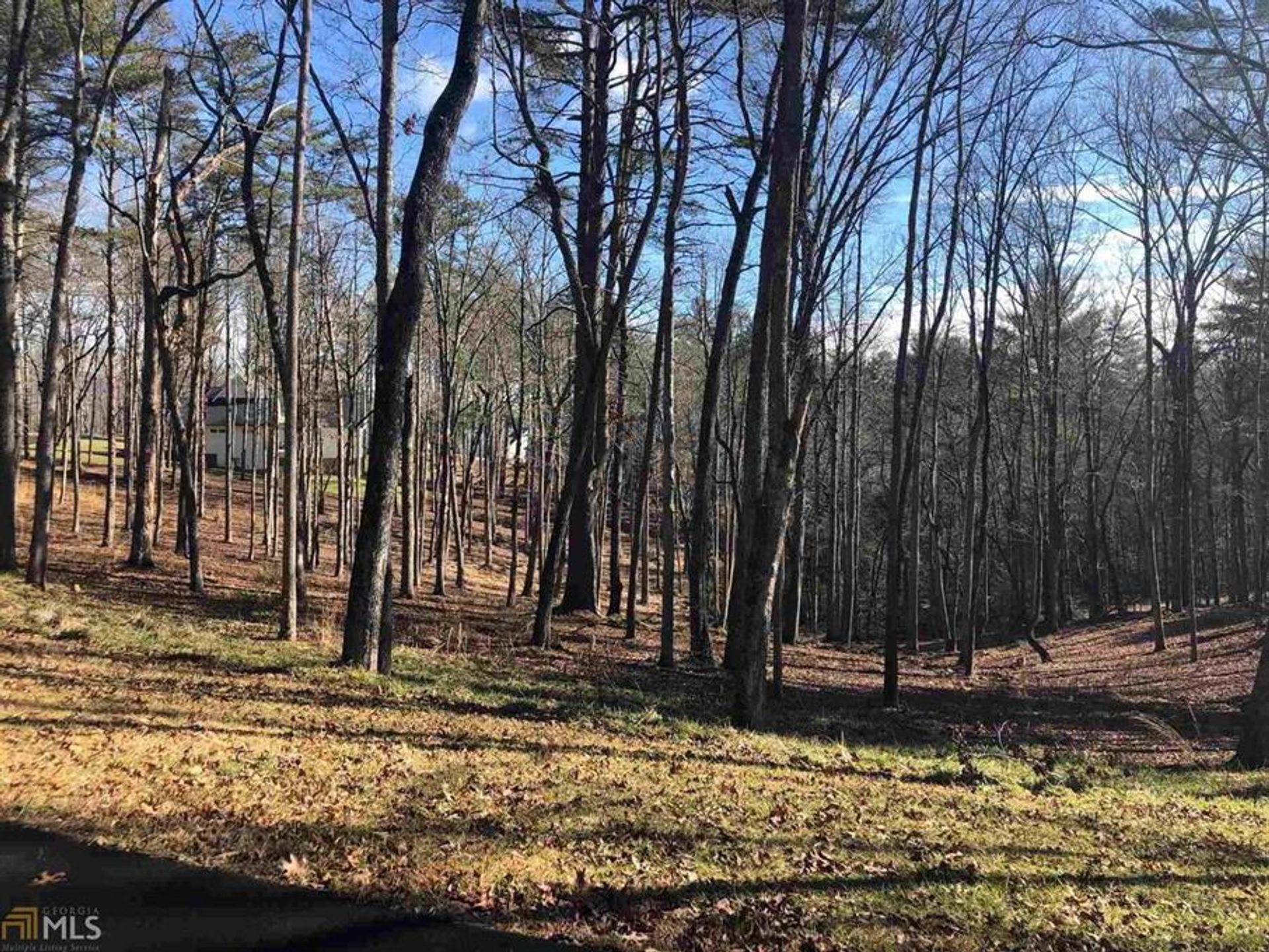 Land in Blairsville, Georgia 10083111