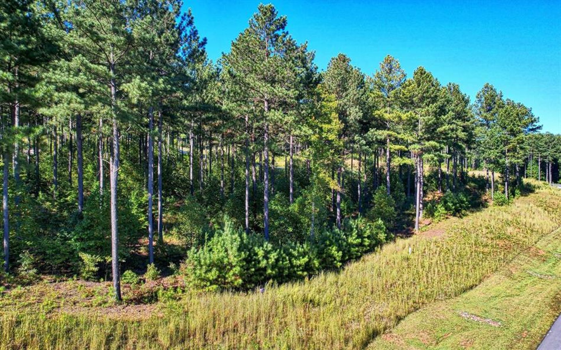 Tanah di Blairsville, Georgia 10083115