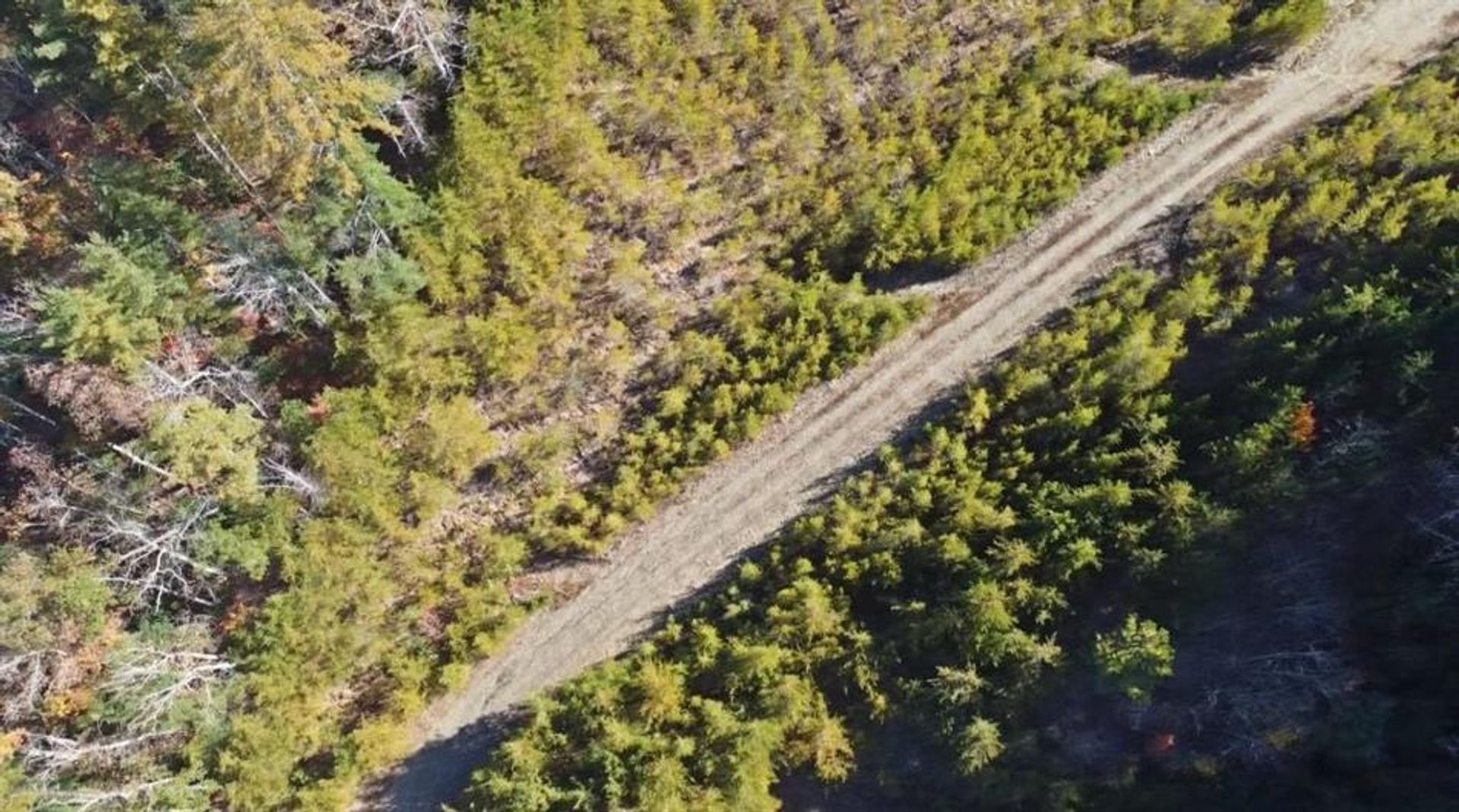 жилой дом в Cherry Log, Georgia 10083303