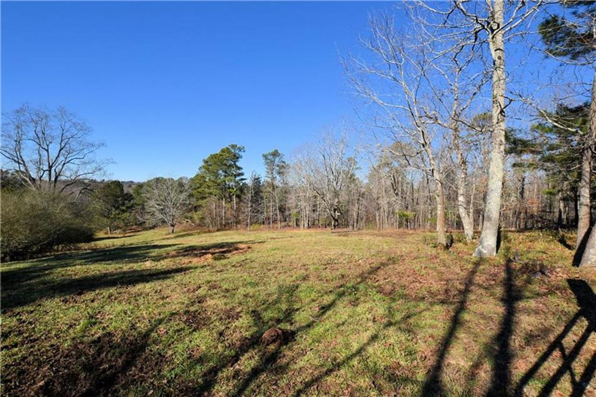 Land i Bowdon, Georgia 10083379