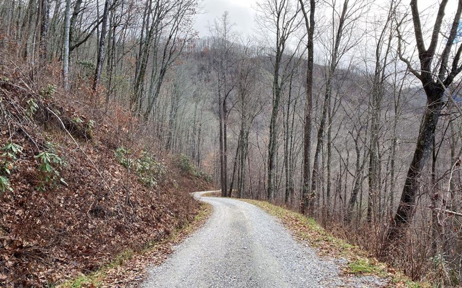 Terre dans Montagne Talc, Caroline du Nord 10083628