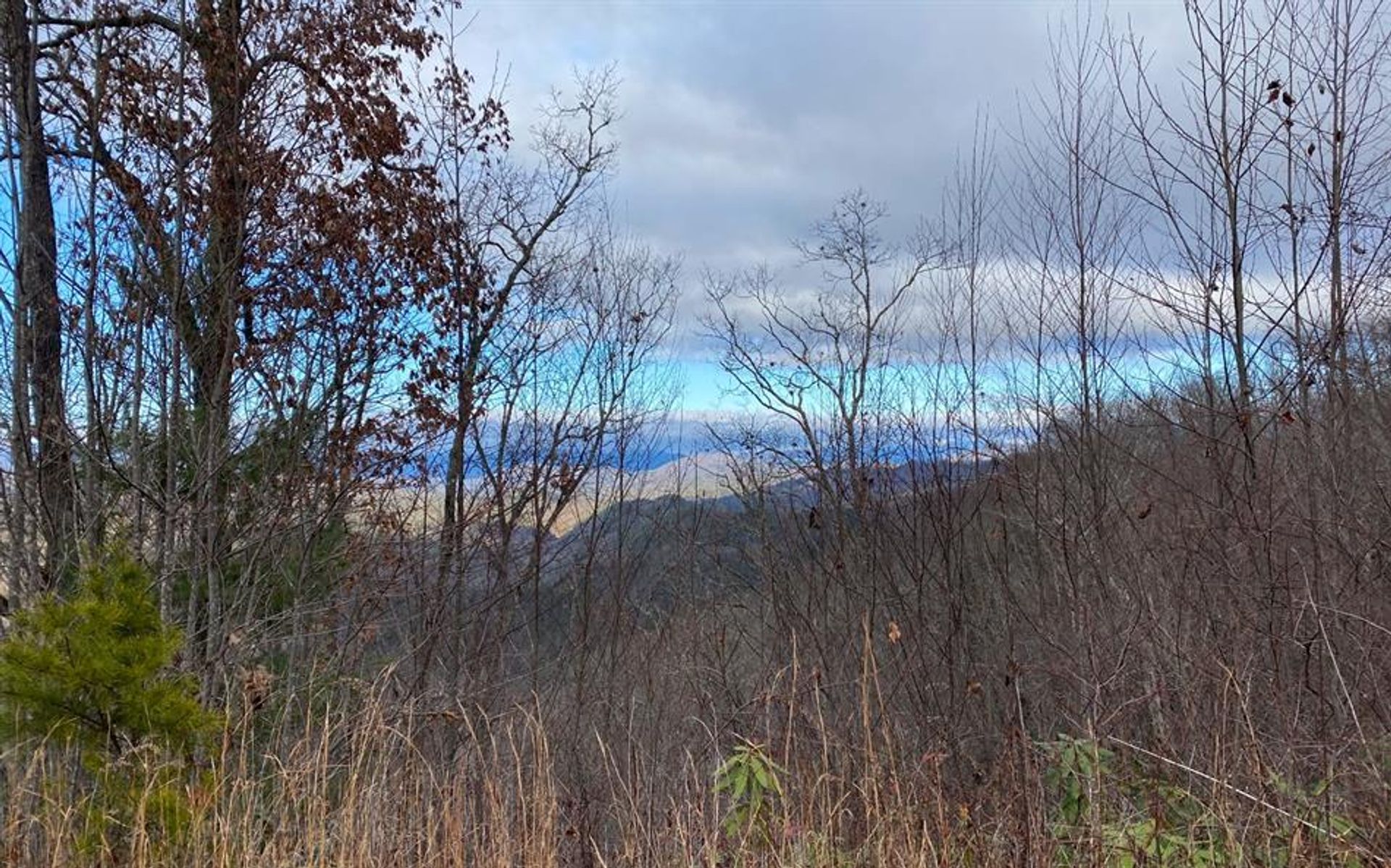 Земельные участки в Bryson City, North Carolina 10083637