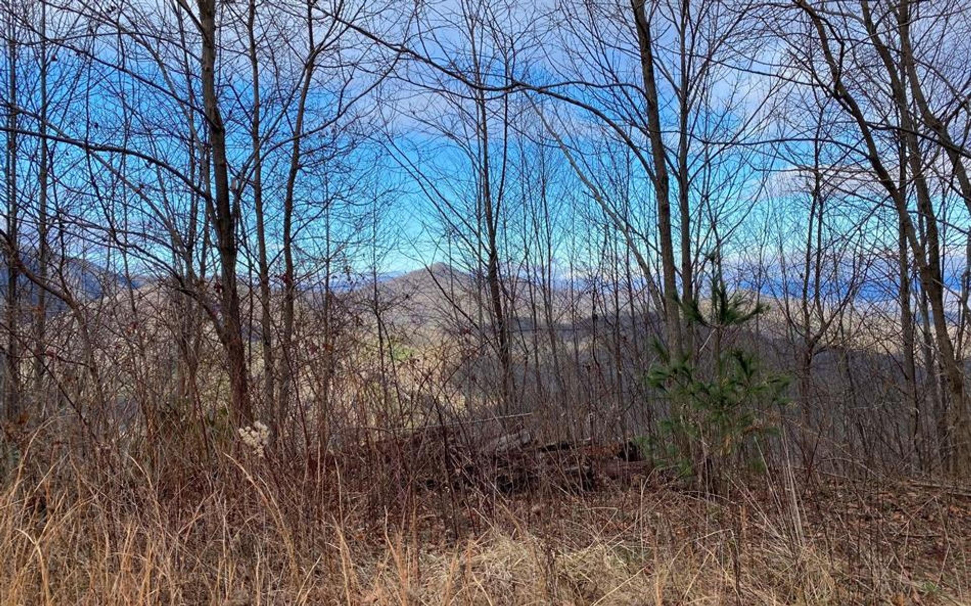 Земельные участки в Bryson City, North Carolina 10083637