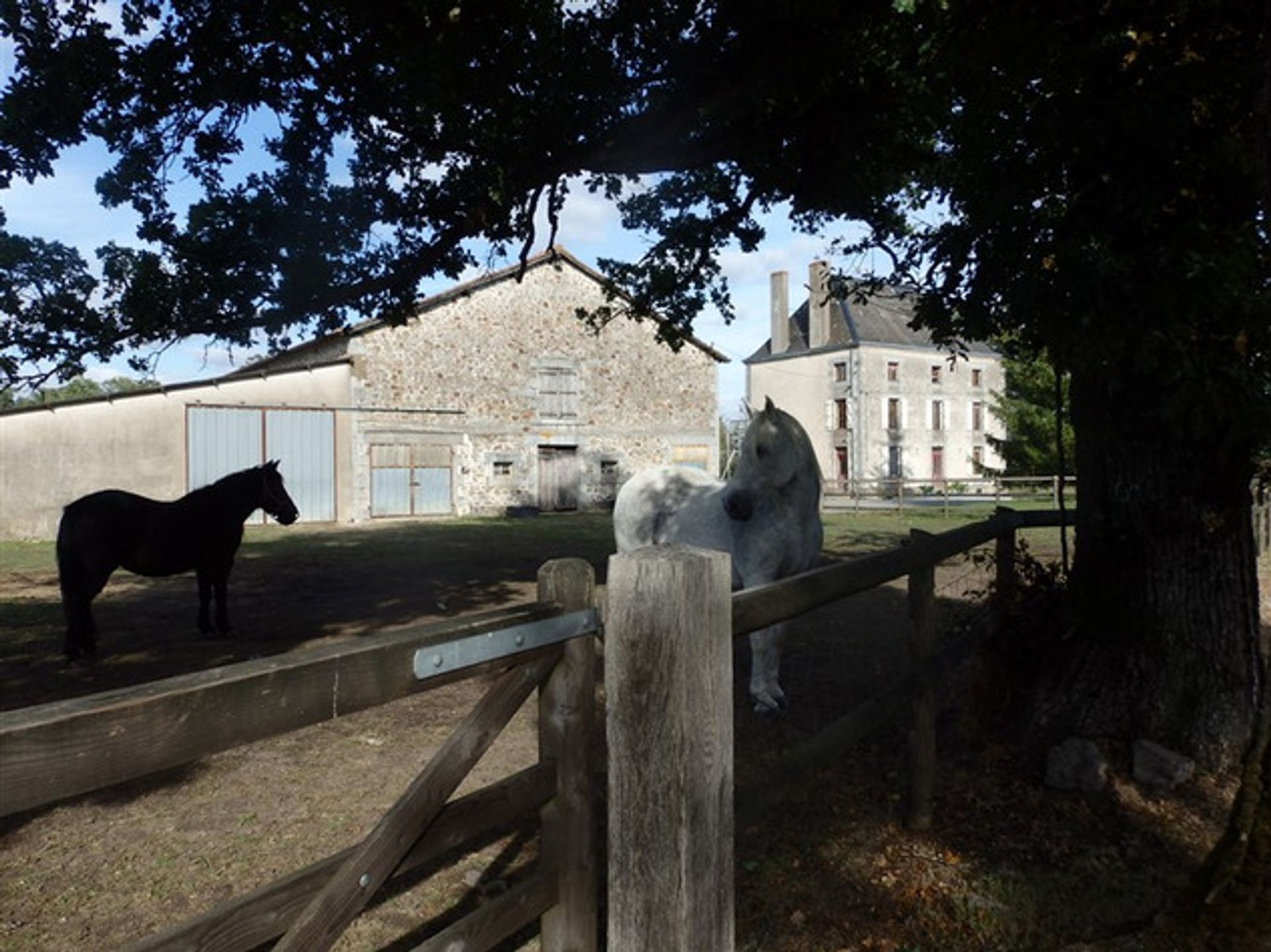 Condominium in Le Dorat, Limousin 10083684