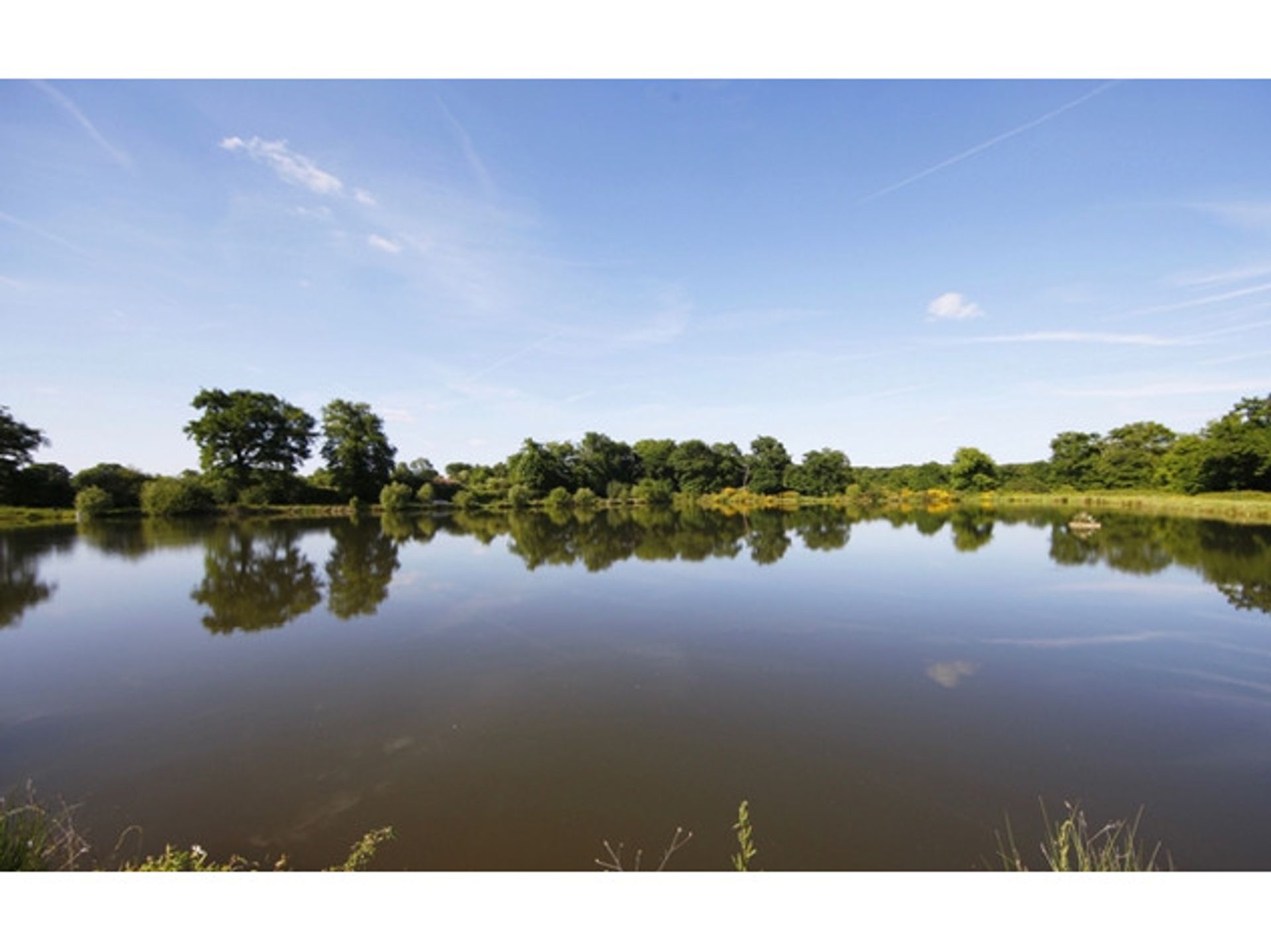 Eigentumswohnung im Confolens, Poitou-Charentes 10083689