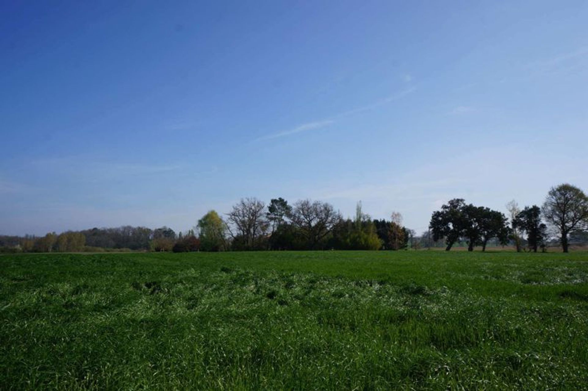 Haus im Fources, Midi-Pyrenees 10083721