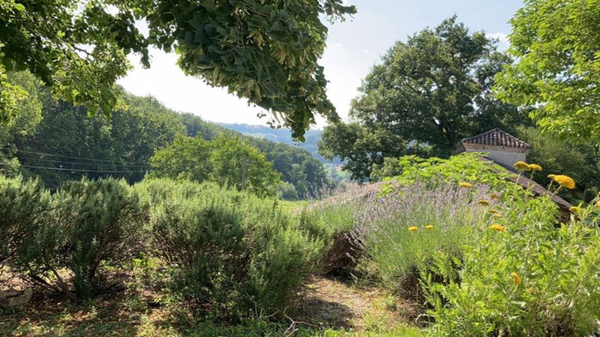 жилой дом в Lauzerte, Midi-Pyrenees 10083748