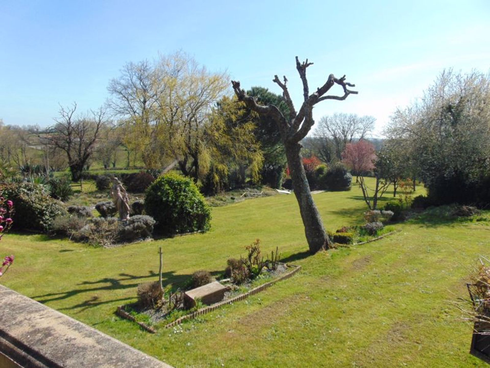 Αλλα σε La Chapelle-Aux-Lys, Pays-de-la-Loire 10083749