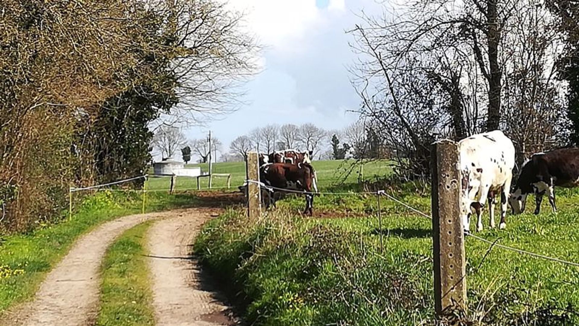 Talo sisään Gorron, Pays-de-la-Loire 10083769