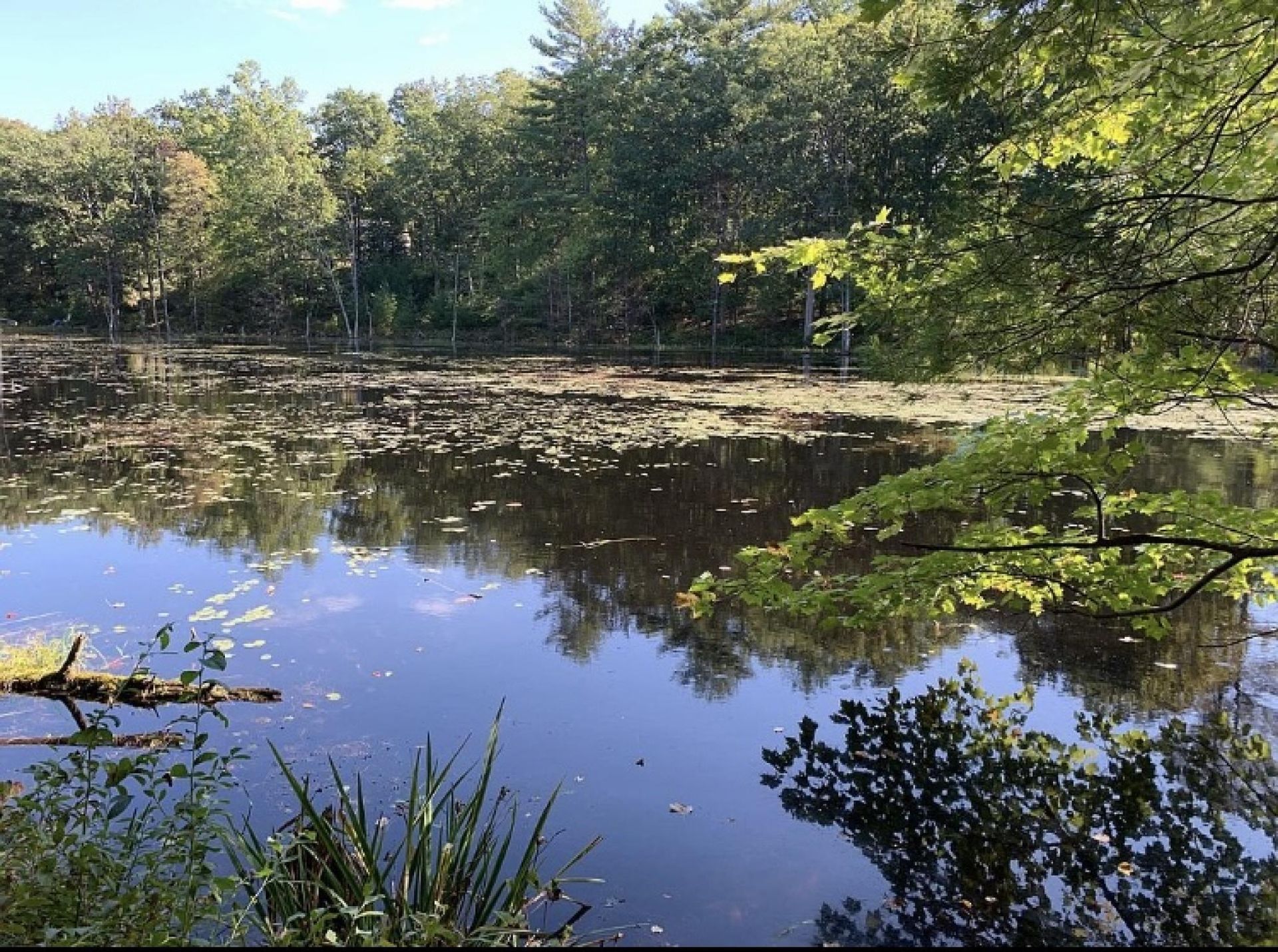 Talo sisään Auburn, New Hampshire 10084324