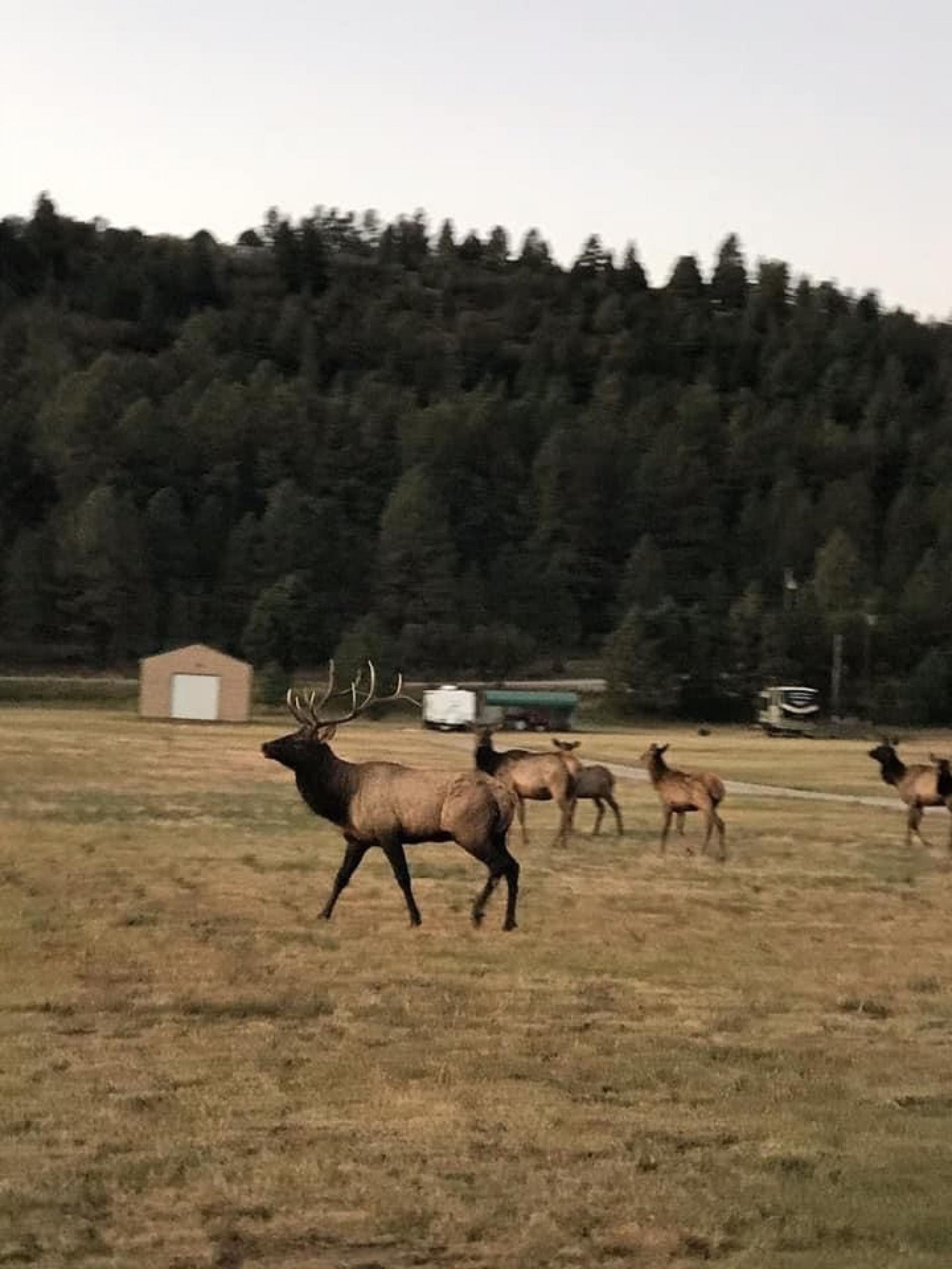 Talo sisään Mayhill, Uusi Meksiko 10084370