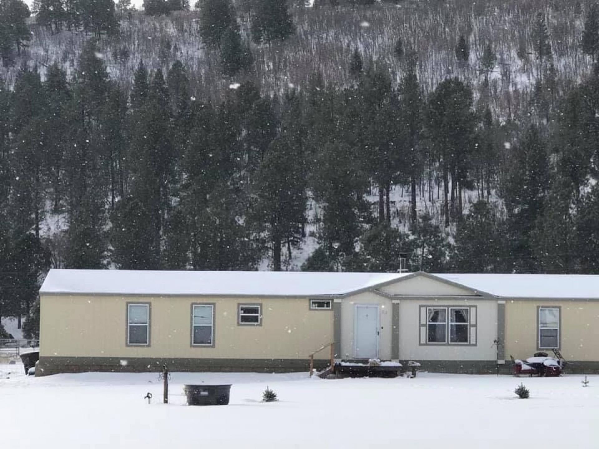 House in Mayhill, New Mexico 10084370