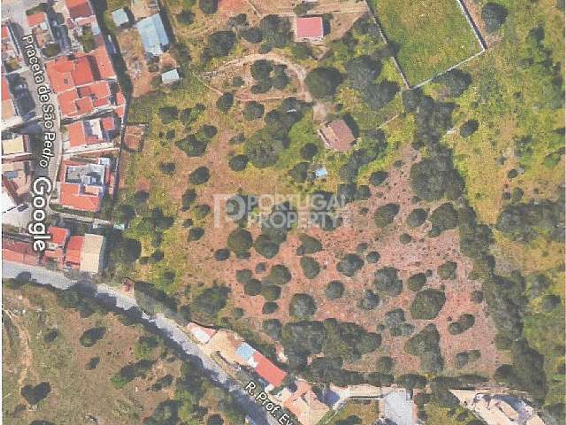 Land in Mexilhoeira Grande, Faro 10084406