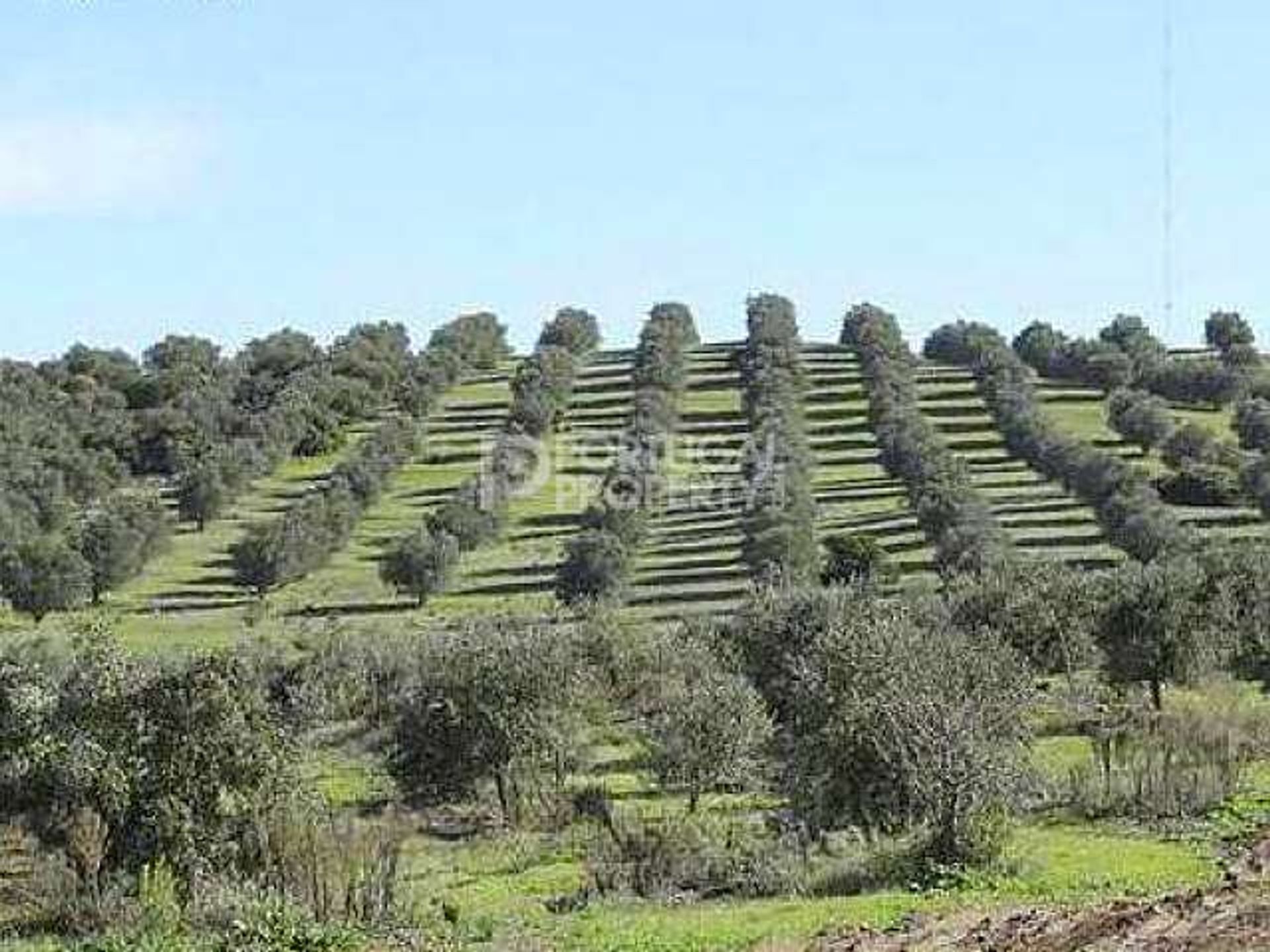 土地 在 Aveiro, 86b Estrada de São Bernardo 10084462