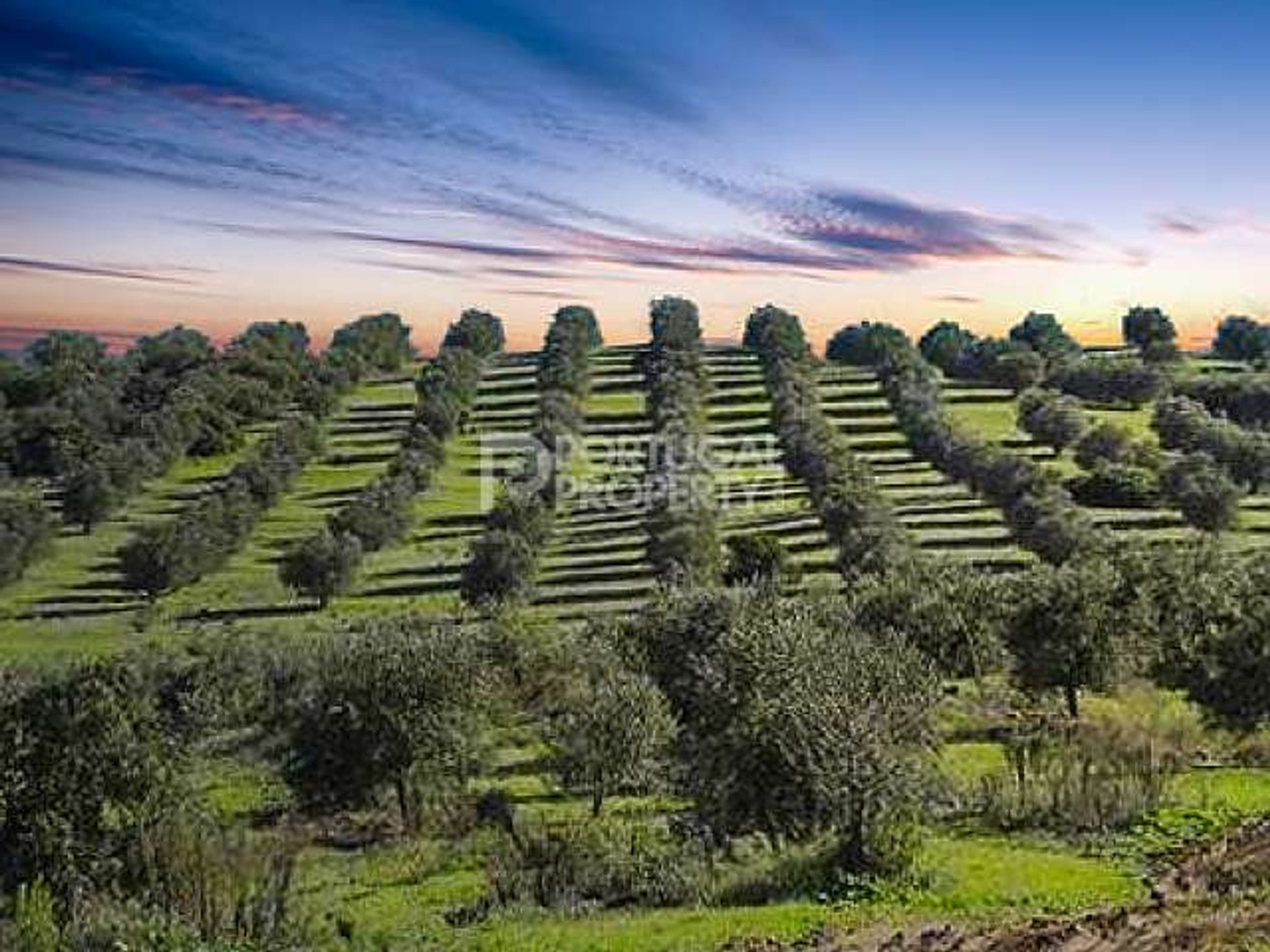 Land i Vilar, 86b Estrada de São Bernardo 10084462