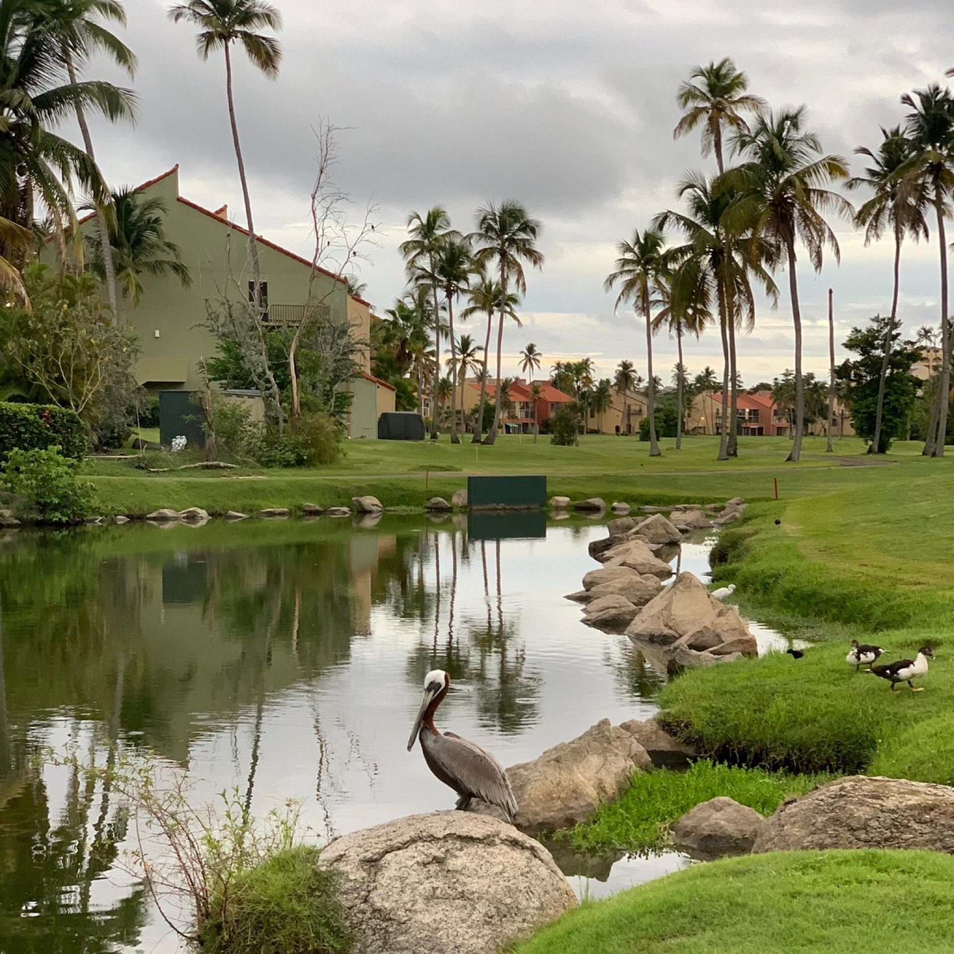 Huis in Candelero Arriba, Puerto Rico 10084545