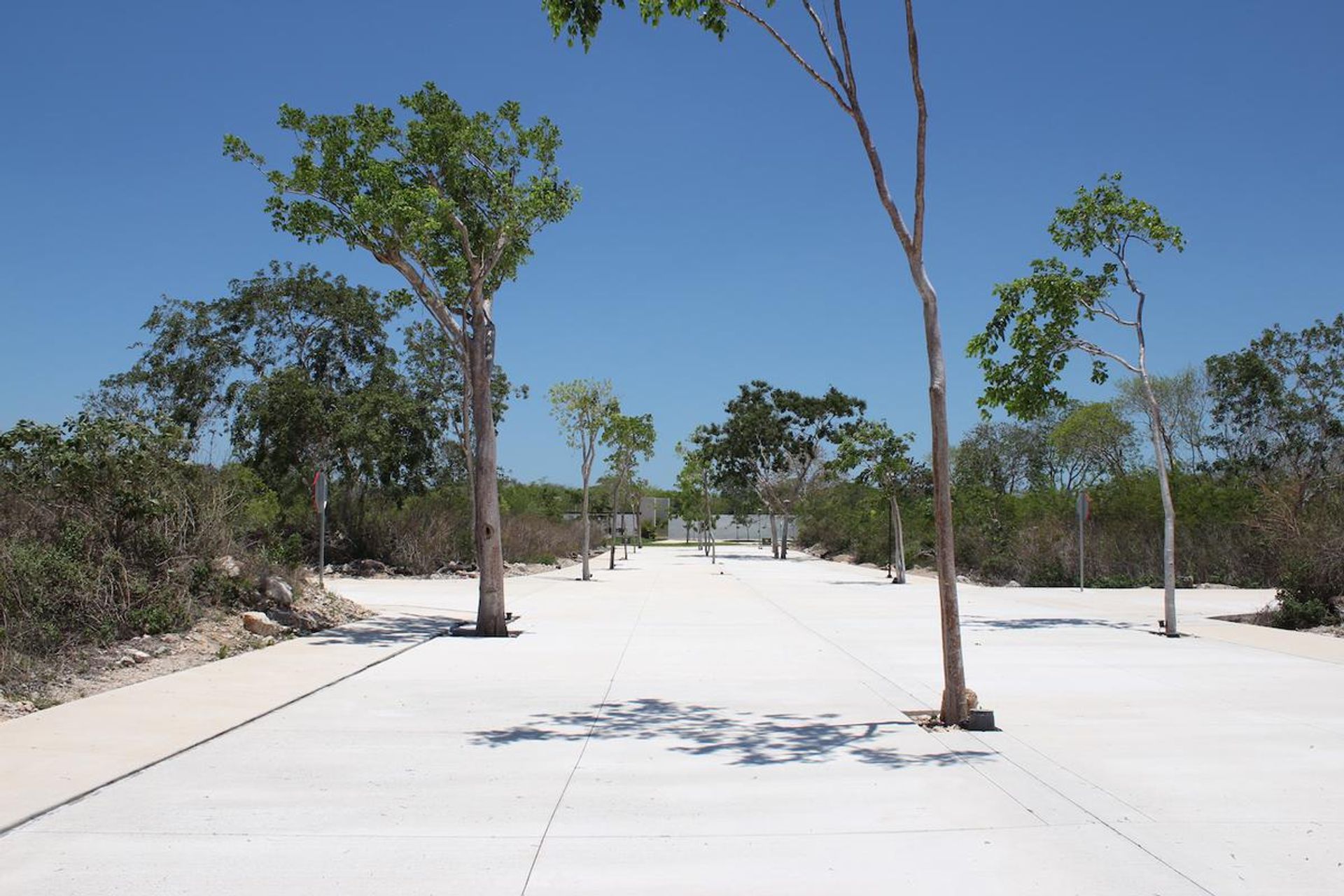 Tierra en Dzodzil Norte, Yucatán 10084849