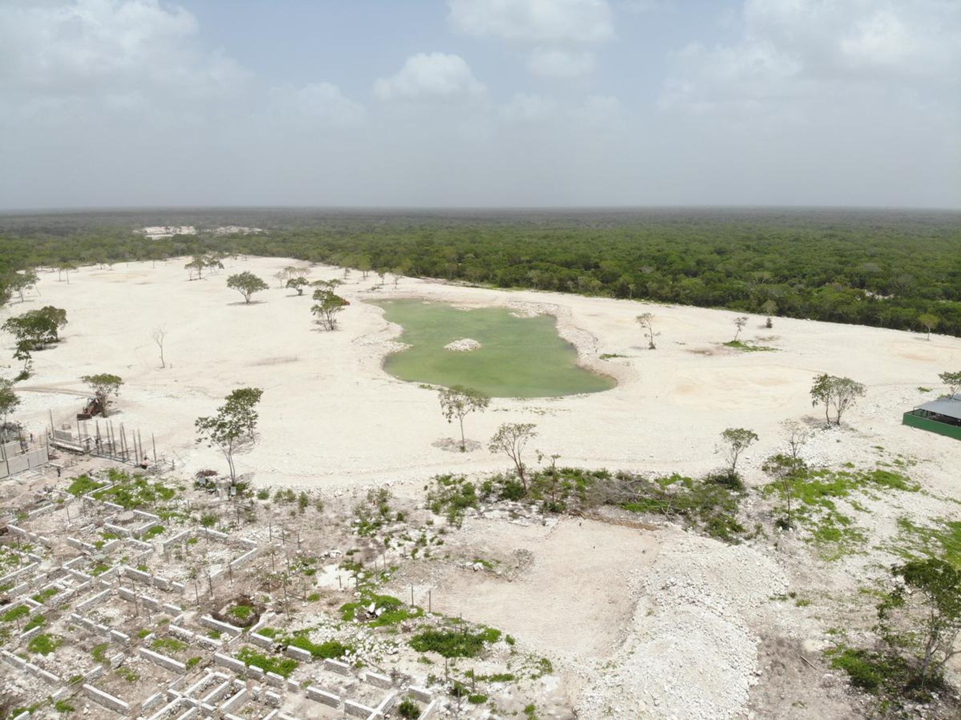 Terra no Merida,  10084889