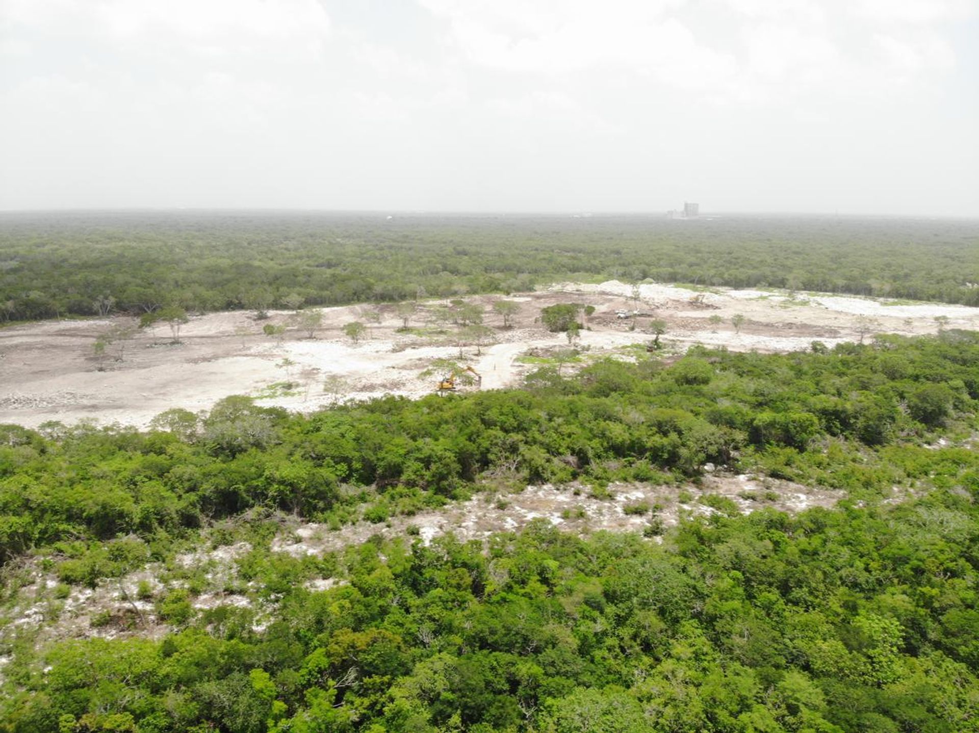 Terra no Merida,  10084889