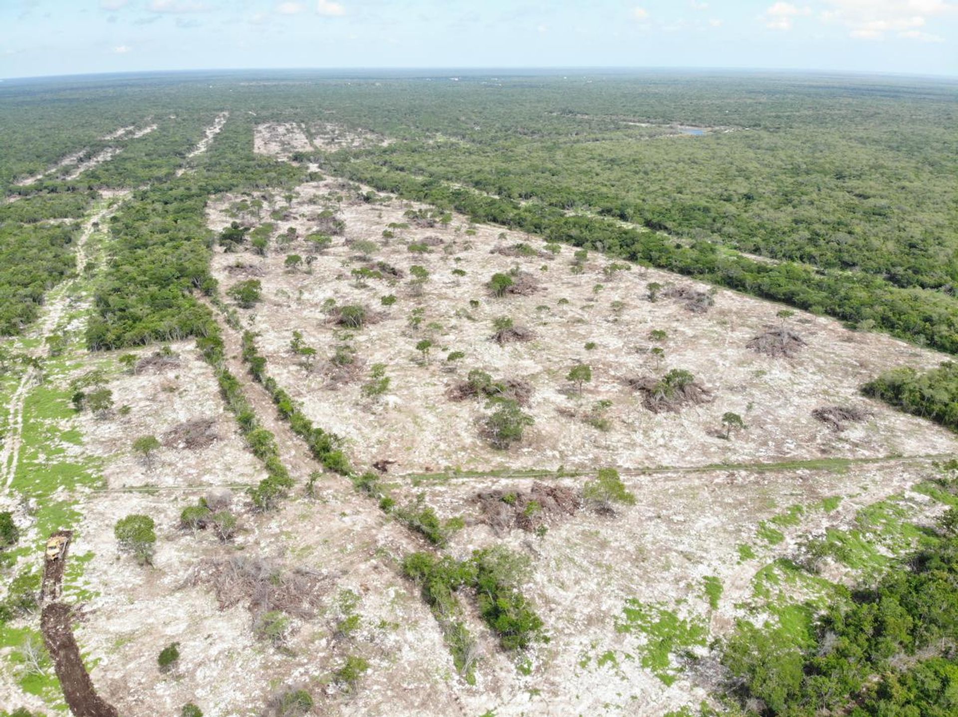 Terra no Merida,  10084889