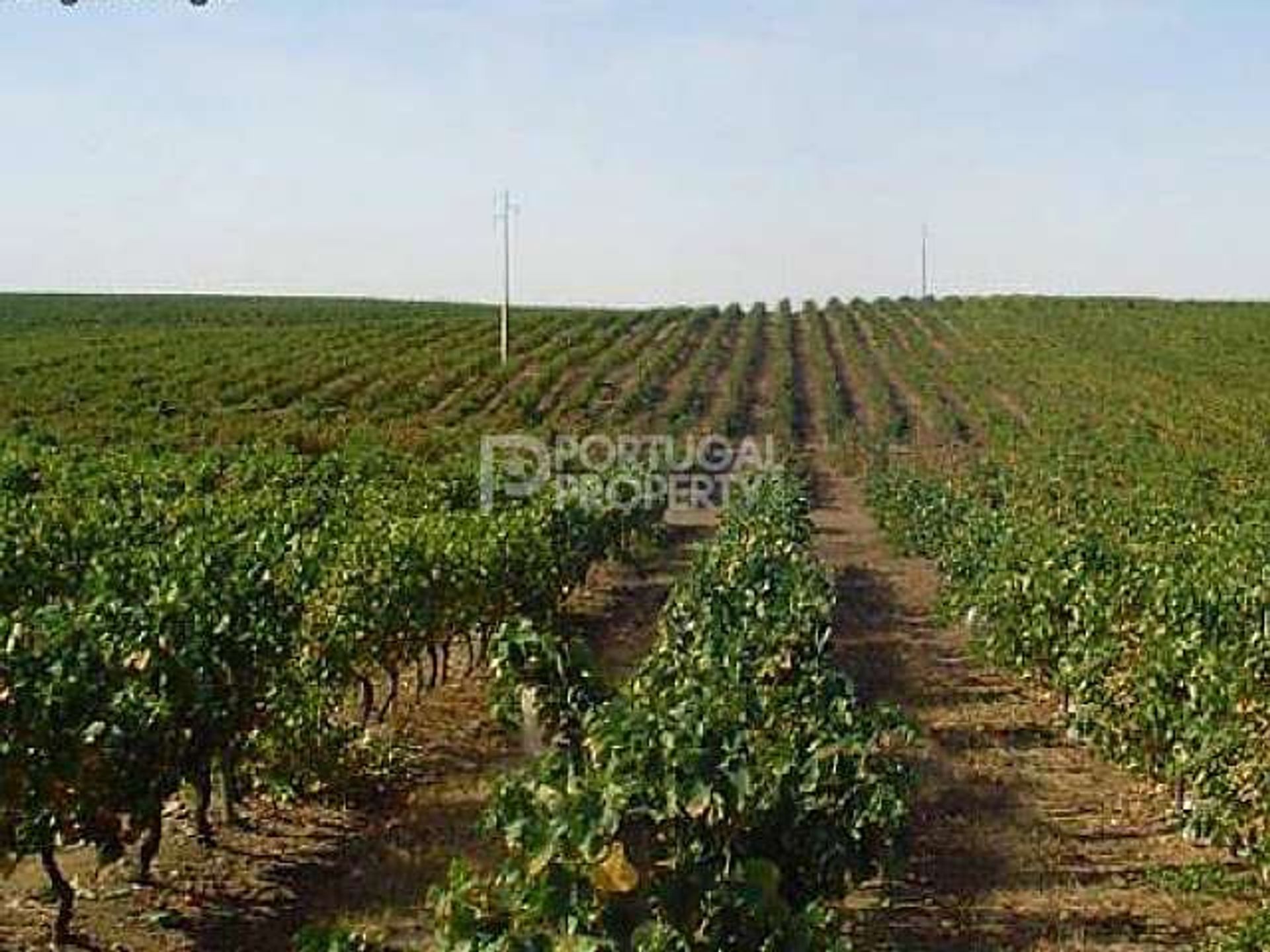 Land in Vilar, Aveiro 10085396