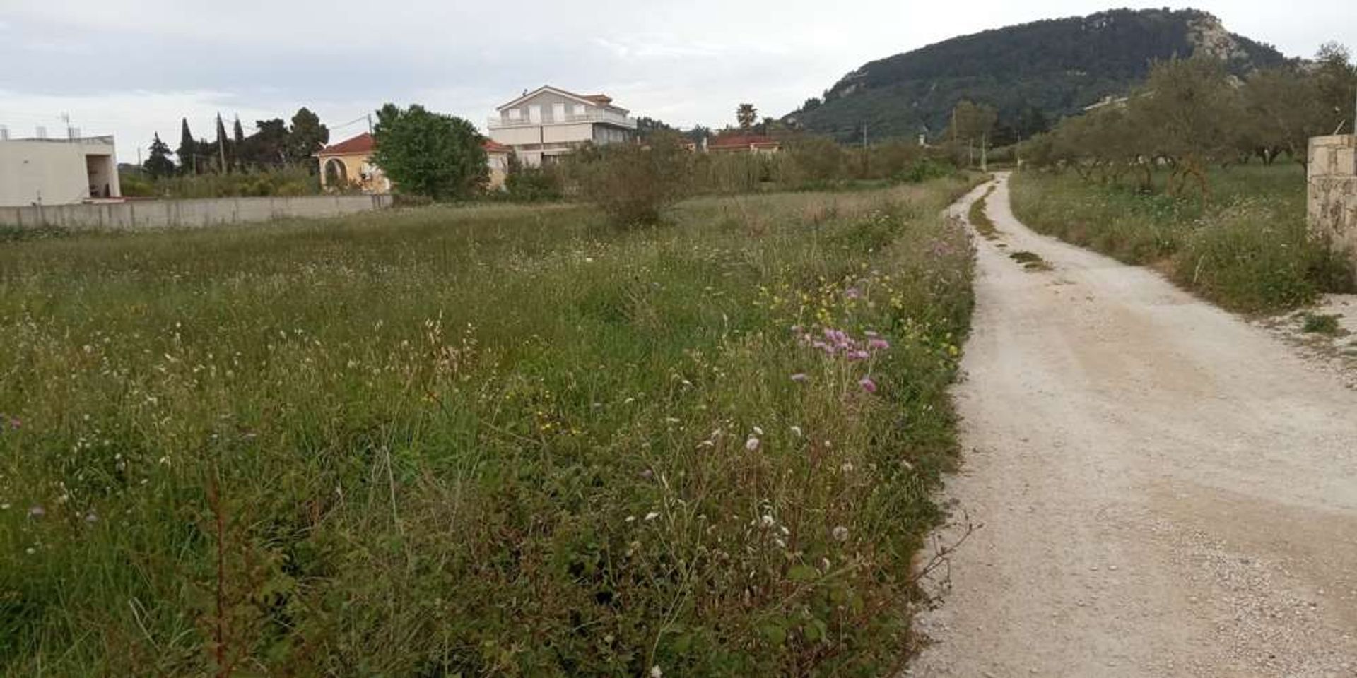 Land in Zakynthos, Zakinthos 10086500